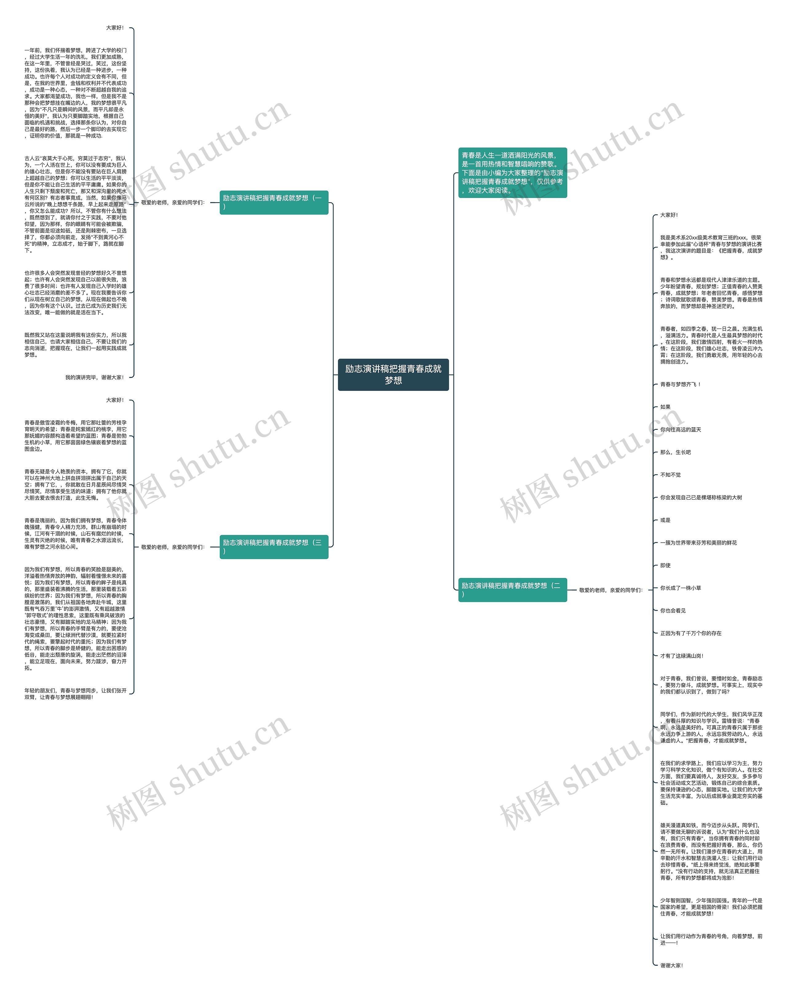 励志演讲稿把握青春成就梦想思维导图