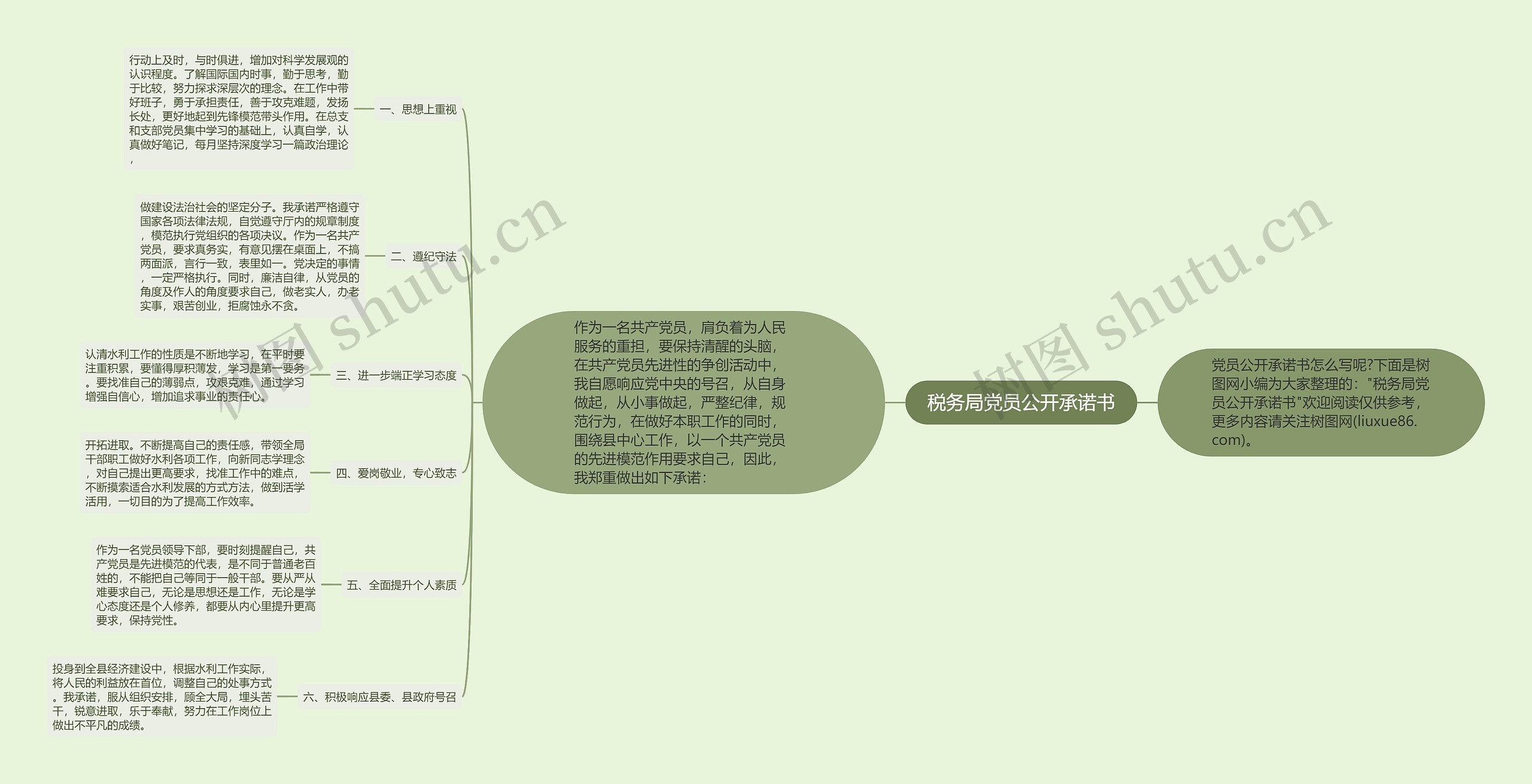 税务局党员公开承诺书