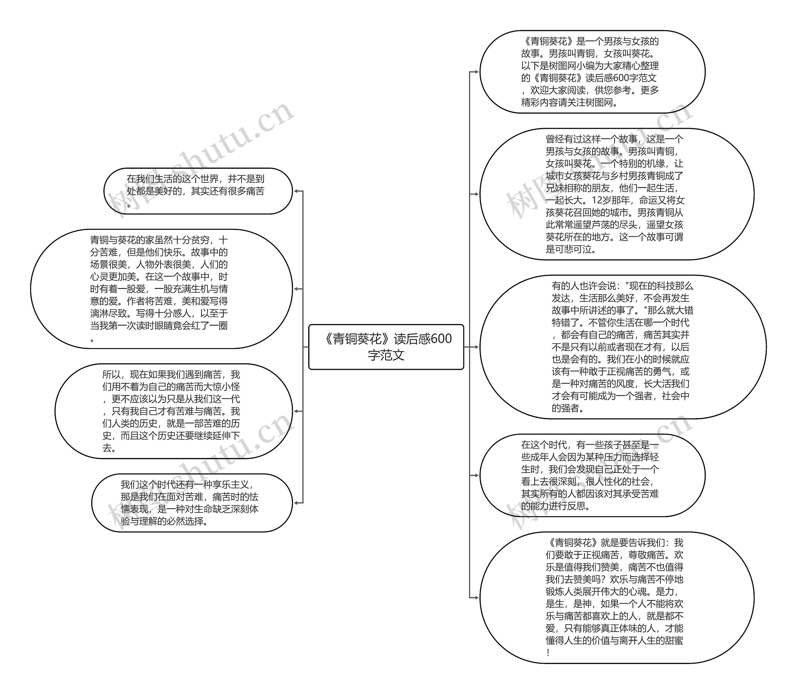 《青铜葵花》读后感600字范文