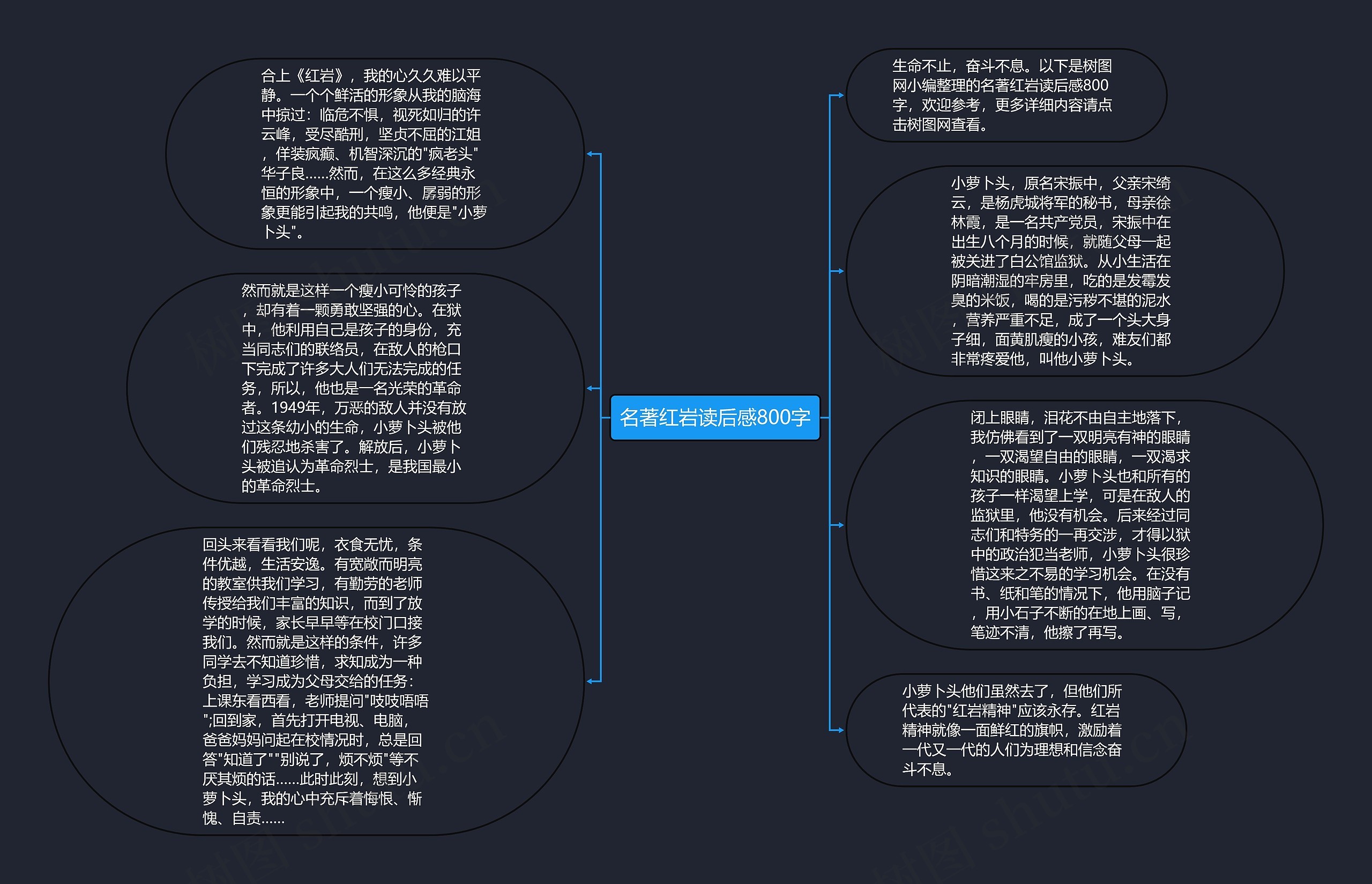 名著红岩读后感800字