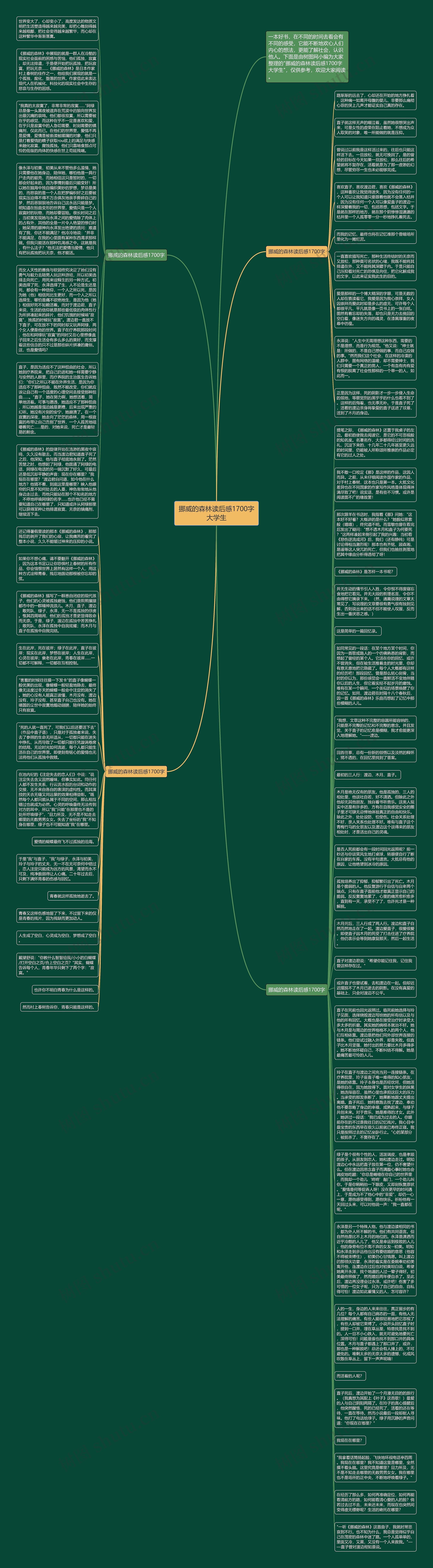 挪威的森林读后感1700字大学生思维导图