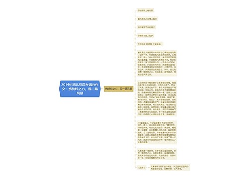 2014年湖北卷高考满分作文：携纯粹之心，观一路风景