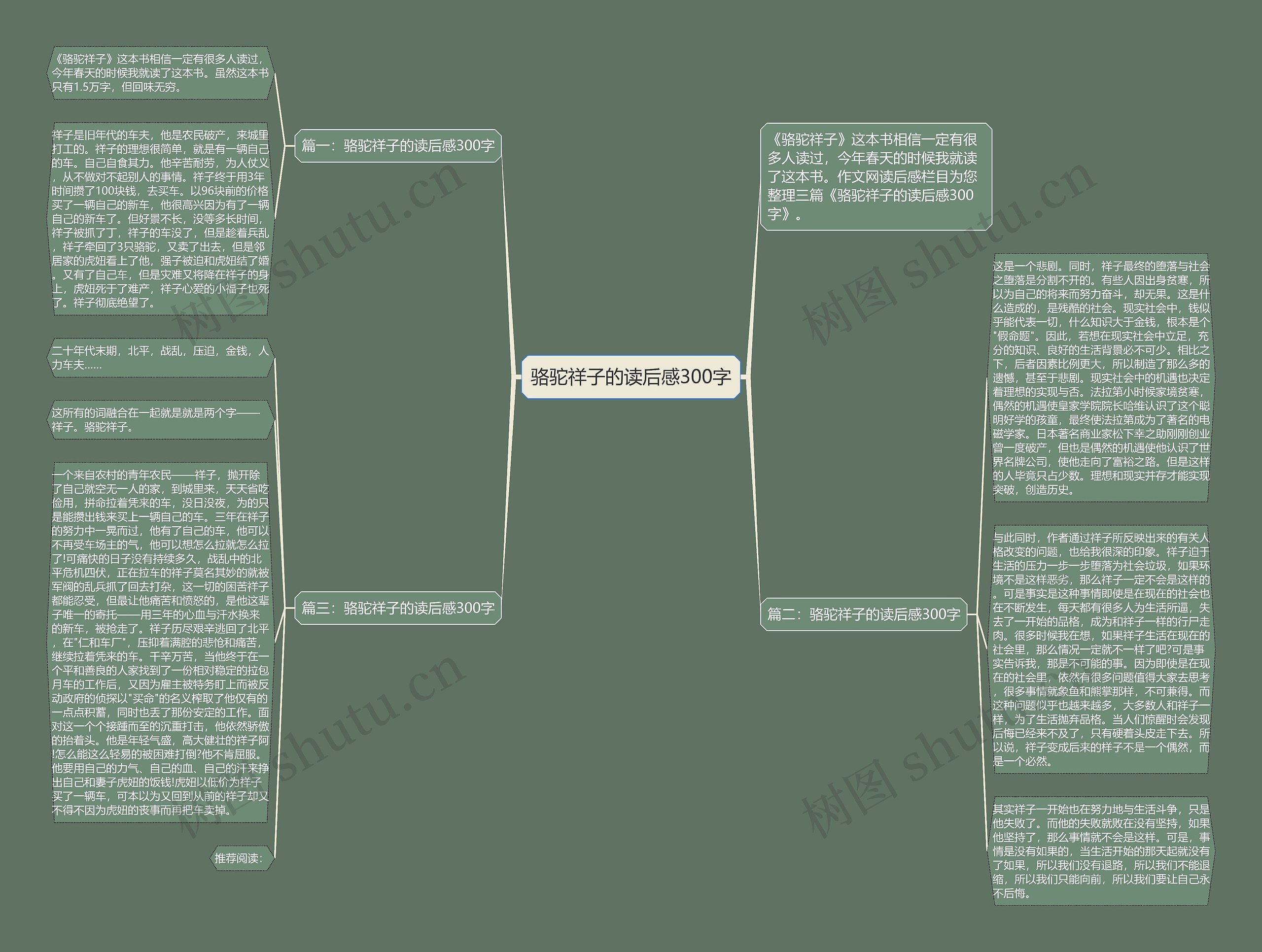 骆驼祥子的读后感300字思维导图