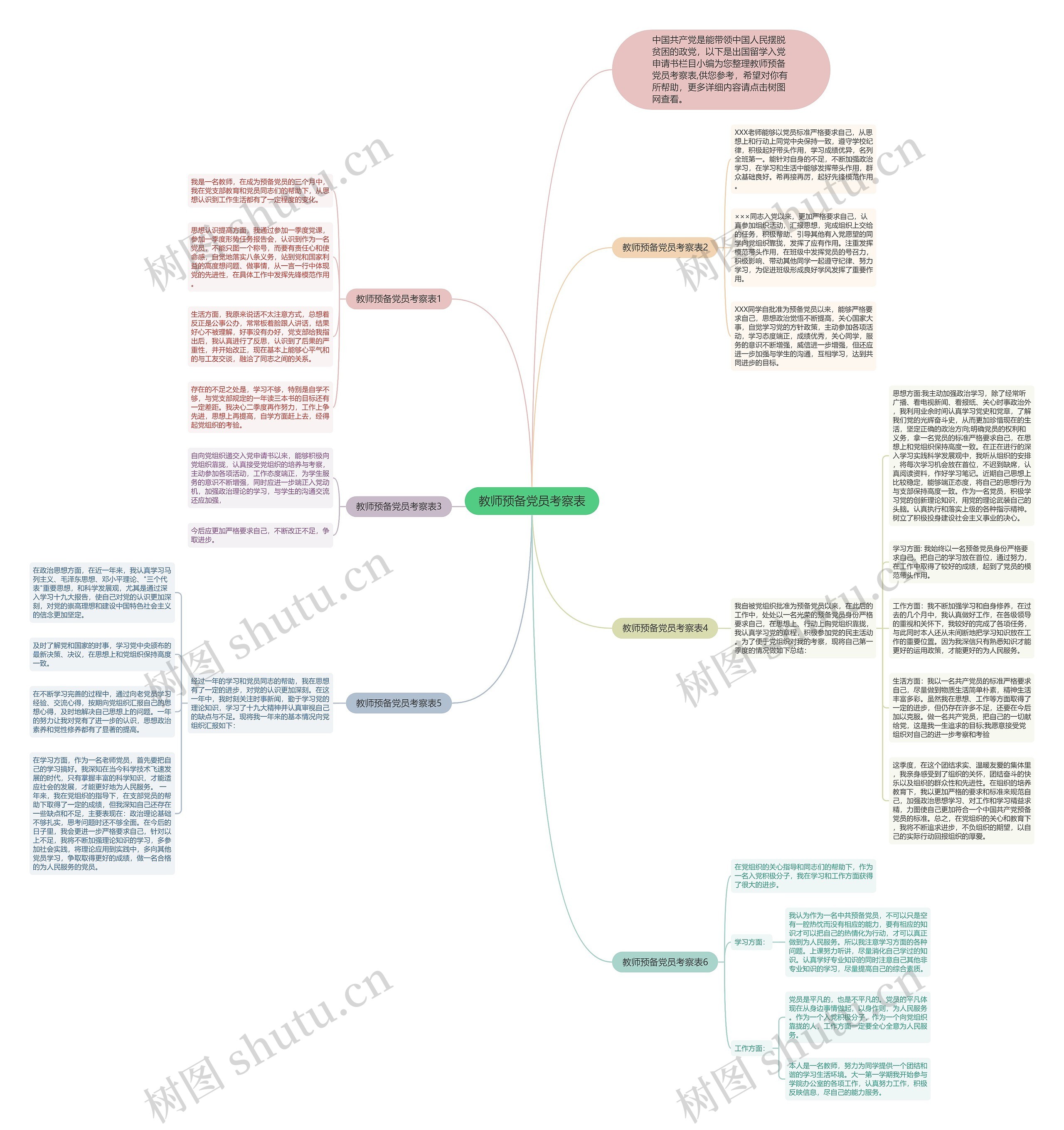 教师预备党员考察表思维导图