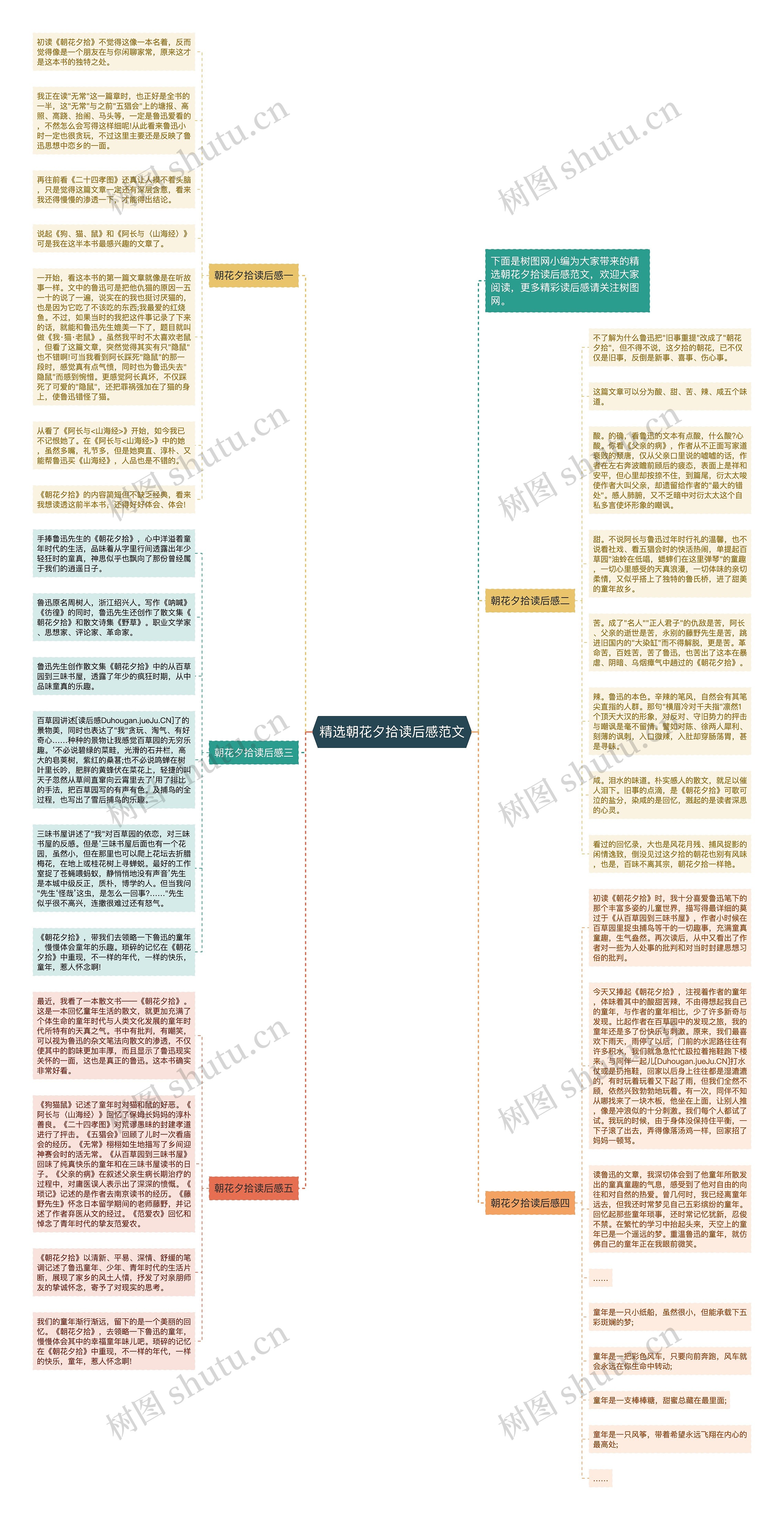 精选朝花夕拾读后感范文思维导图