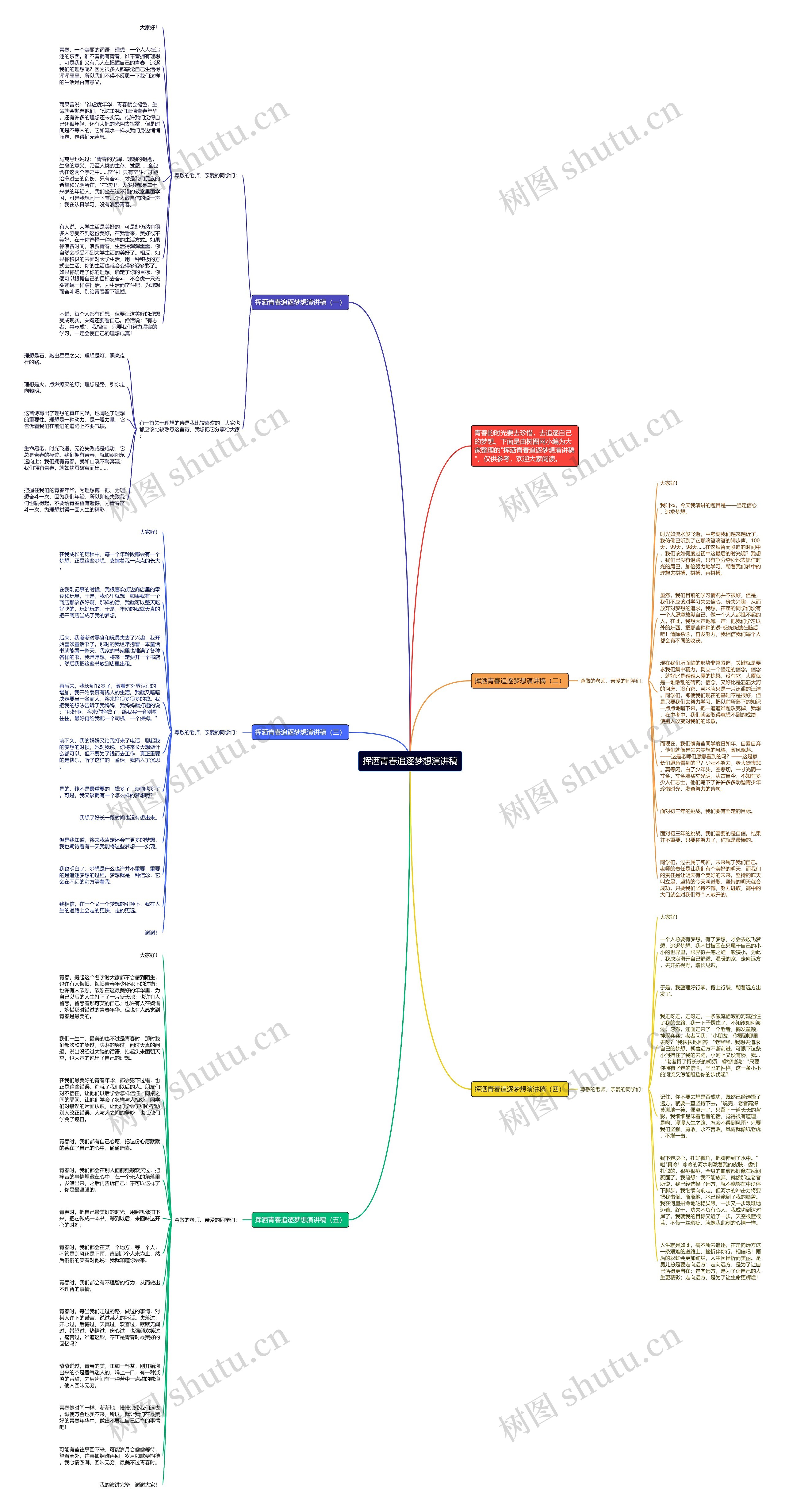 挥洒青春追逐梦想演讲稿思维导图