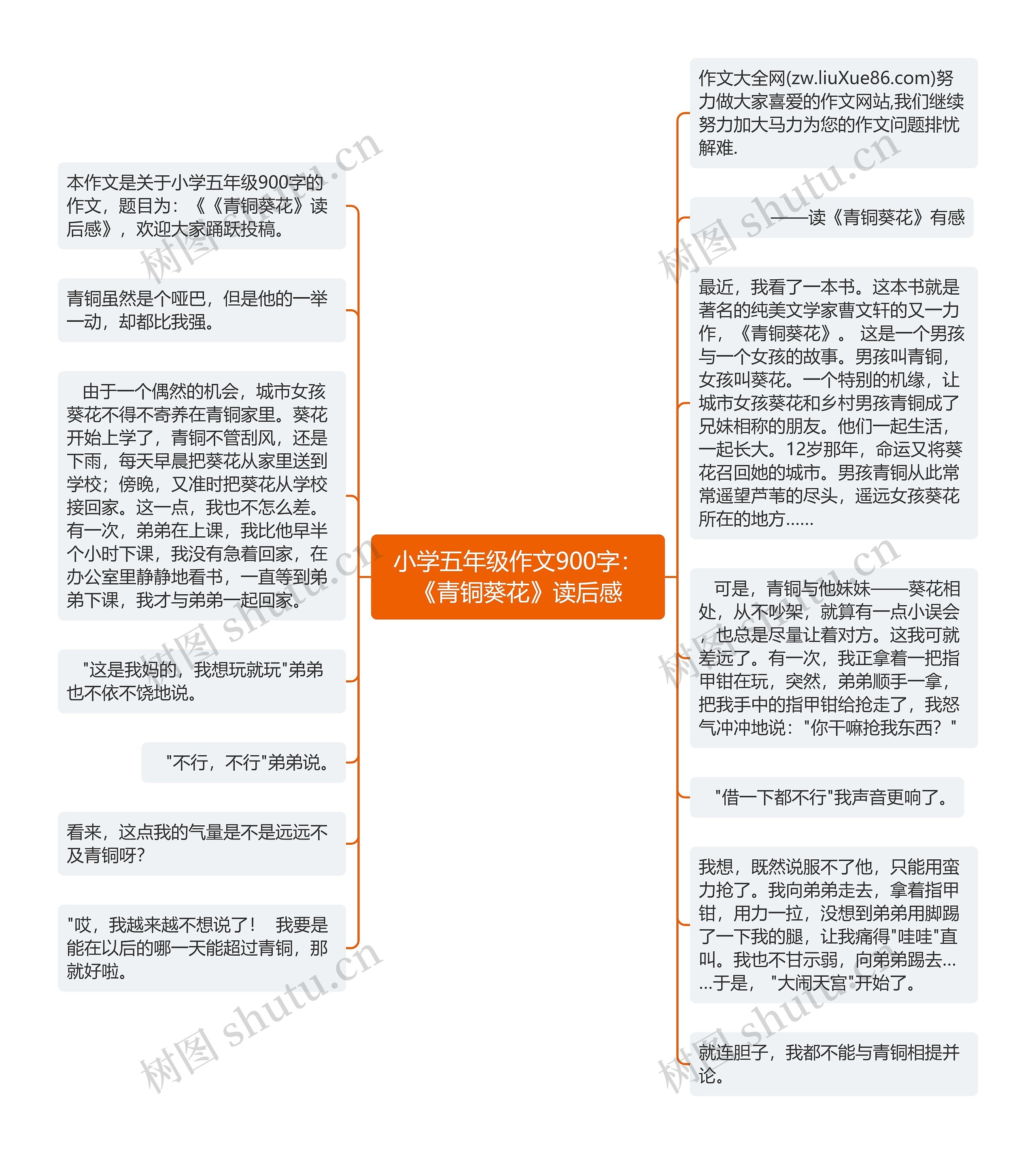 小学五年级作文900字：《青铜葵花》读后感思维导图