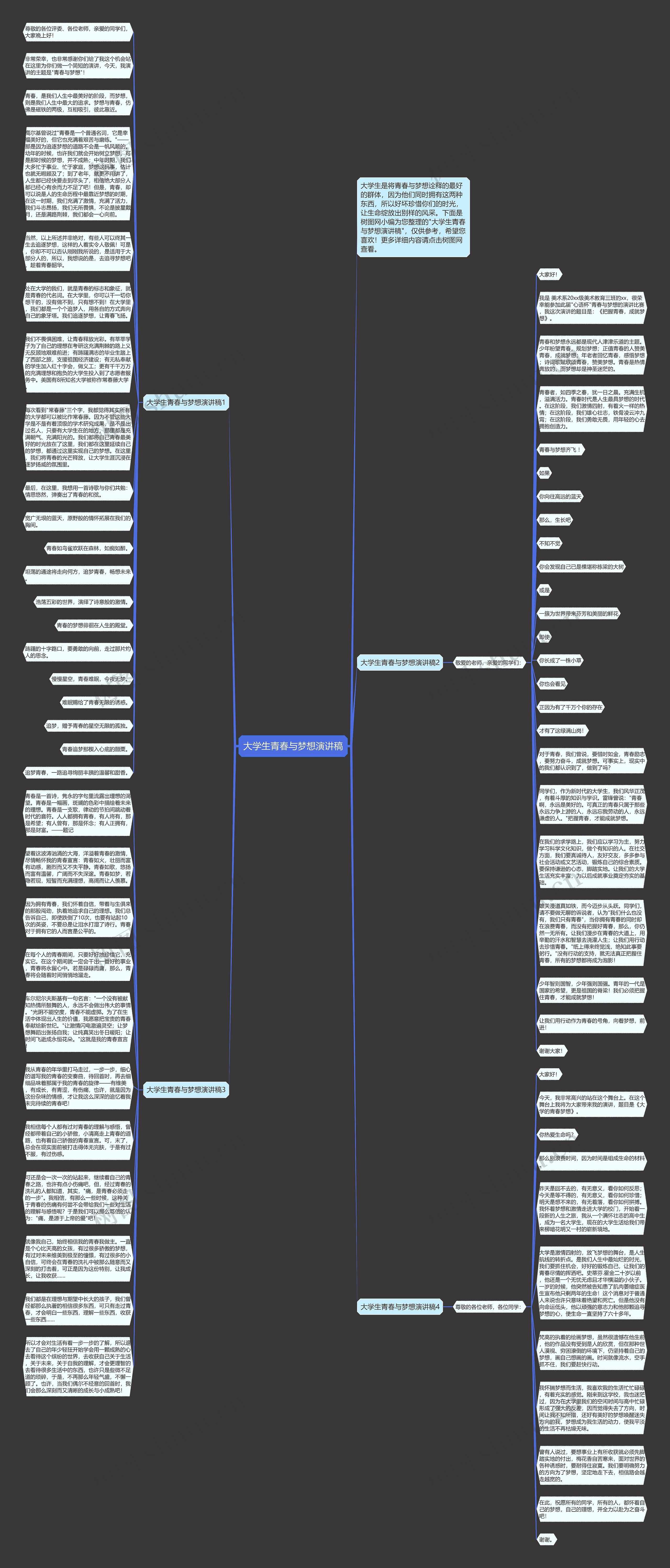 大学生青春与梦想演讲稿思维导图