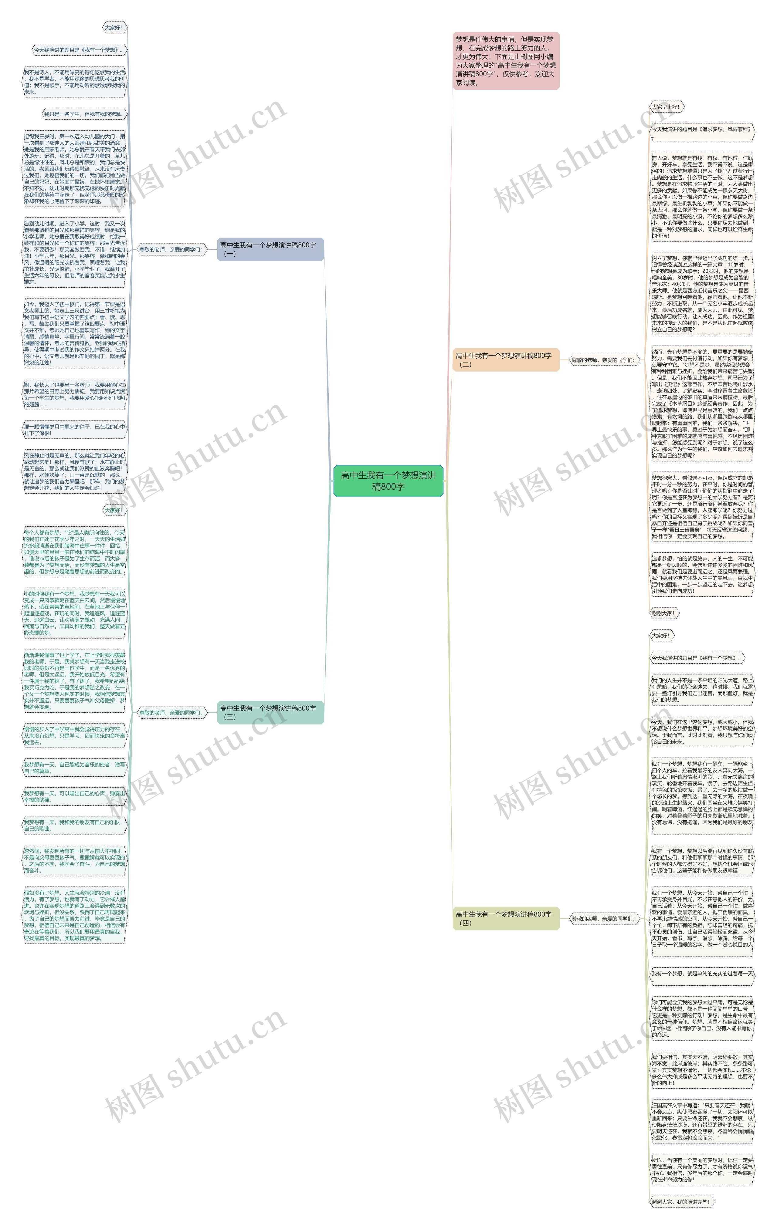 高中生我有一个梦想演讲稿800字思维导图