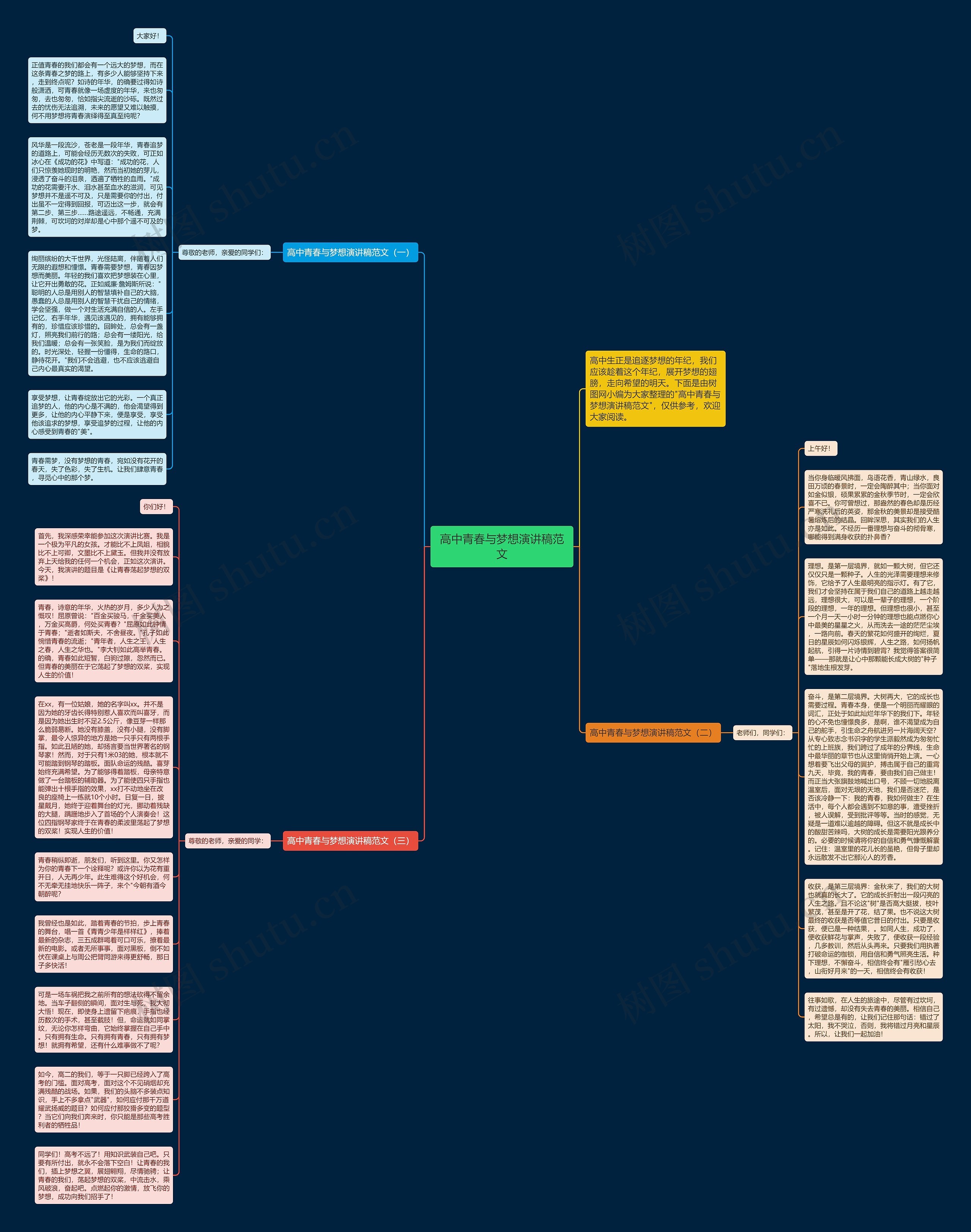 高中青春与梦想演讲稿范文思维导图