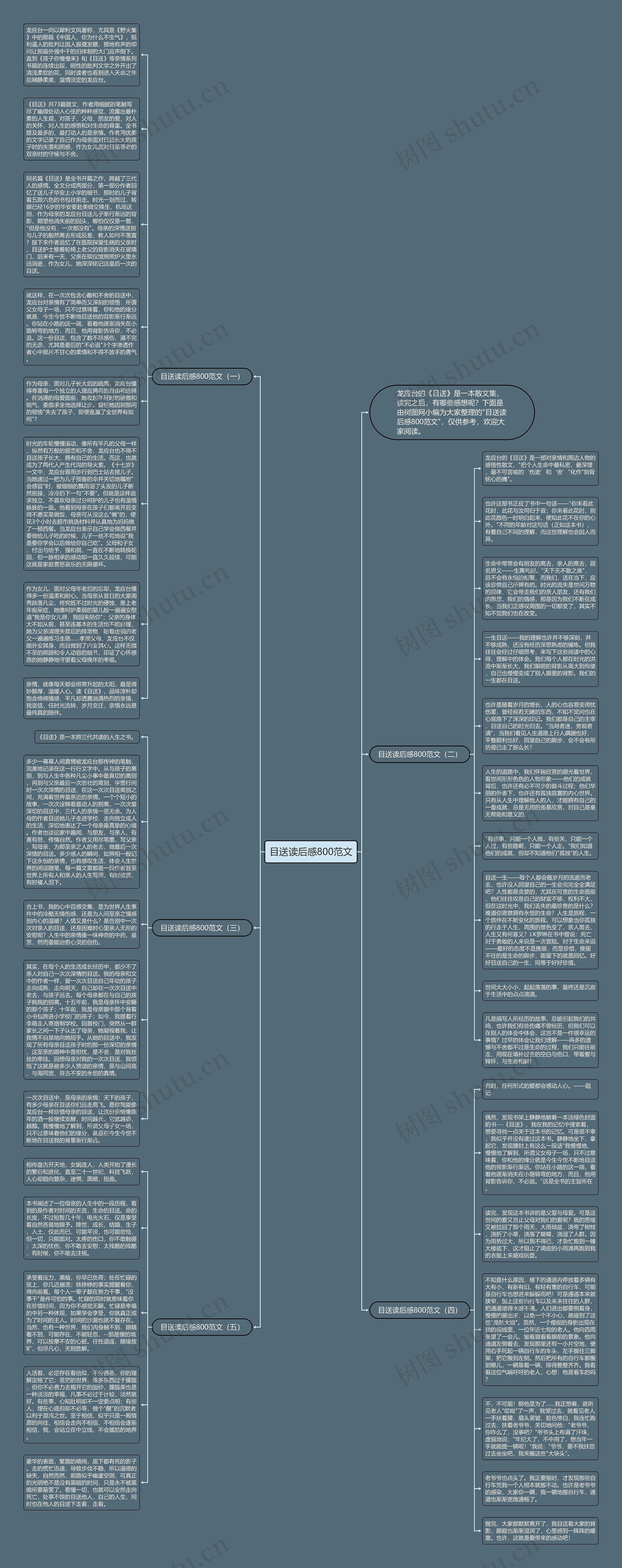 目送读后感800范文思维导图