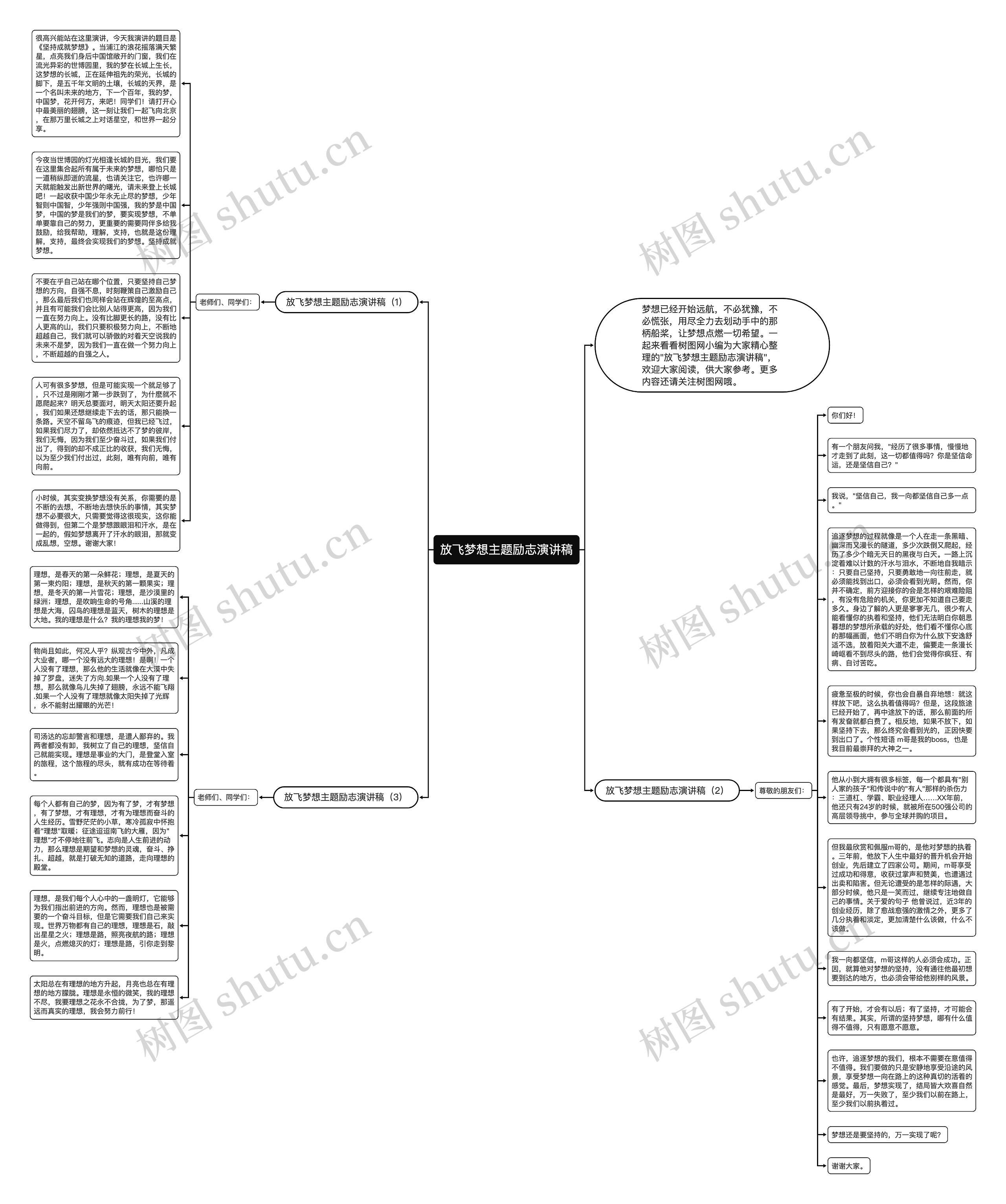 放飞梦想主题励志演讲稿思维导图