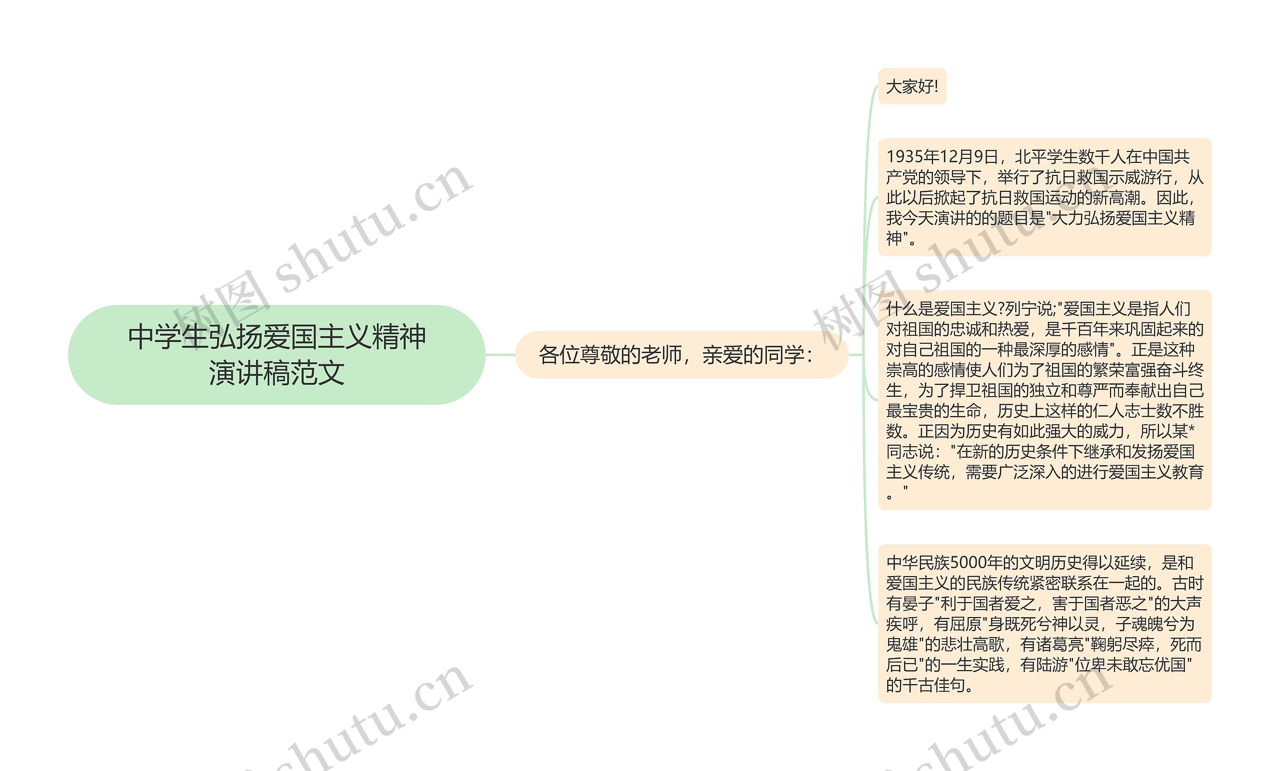 中学生弘扬爱国主义精神演讲稿范文思维导图