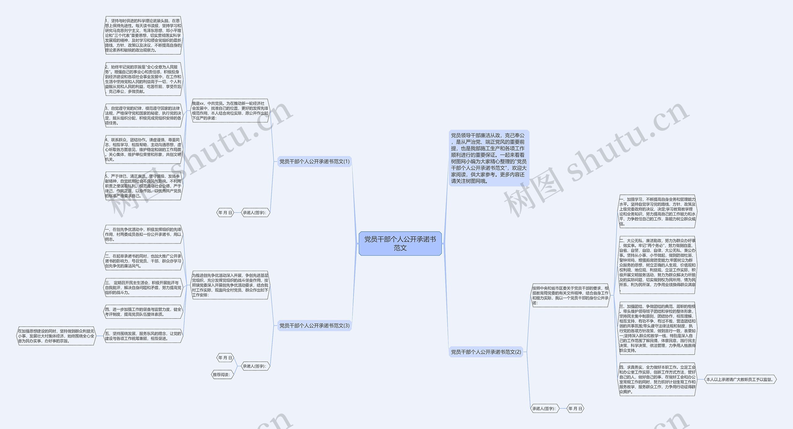党员干部个人公开承诺书范文思维导图