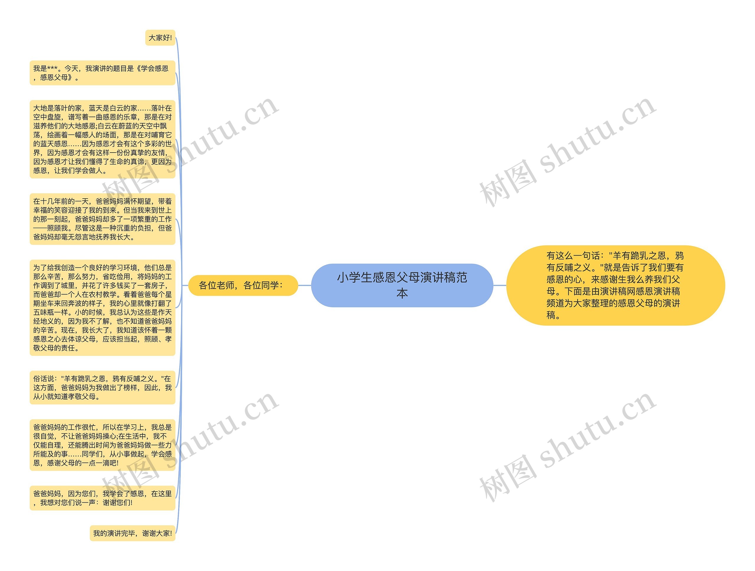 小学生感恩父母演讲稿范本思维导图