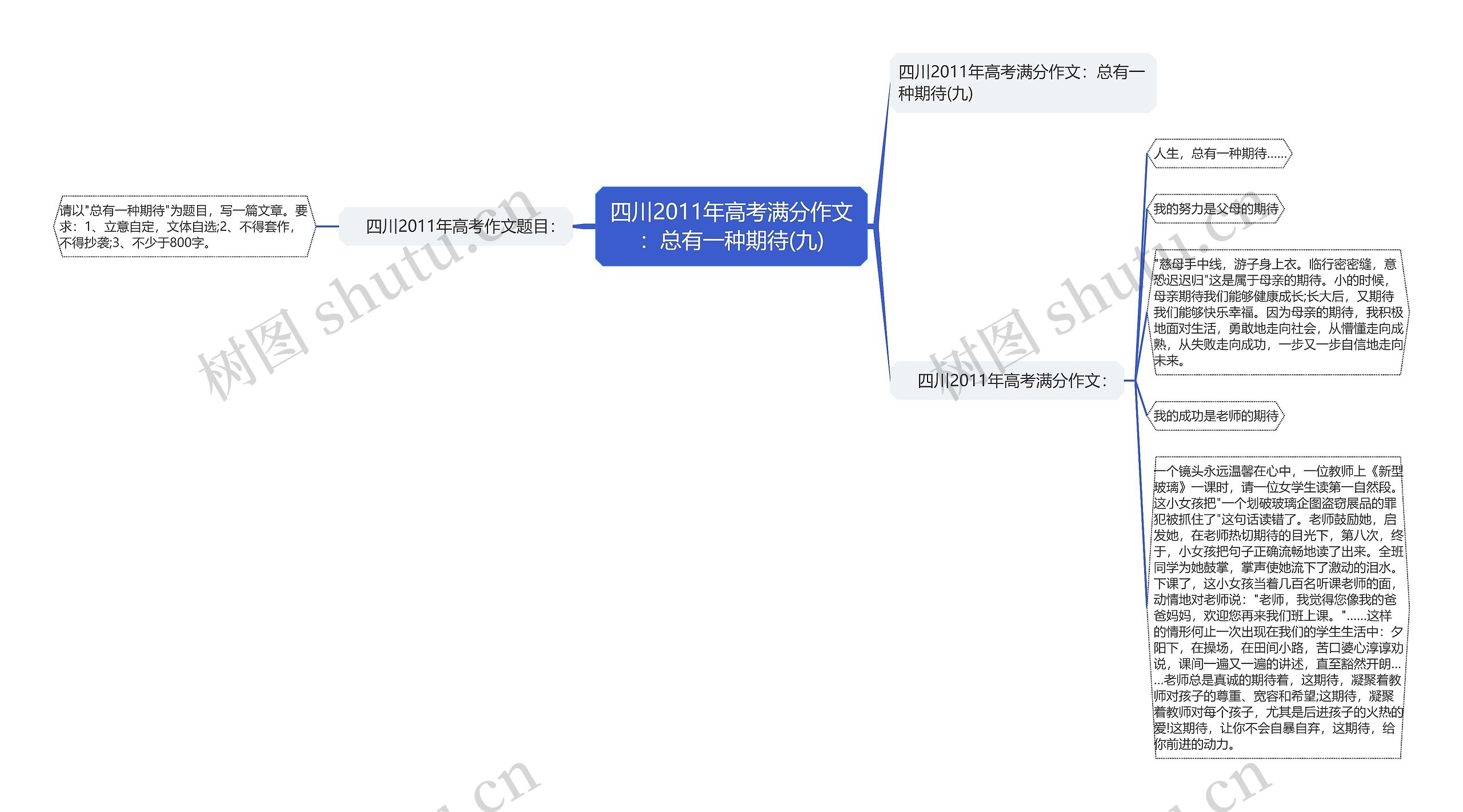 四川2011年高考满分作文：总有一种期待(九)思维导图