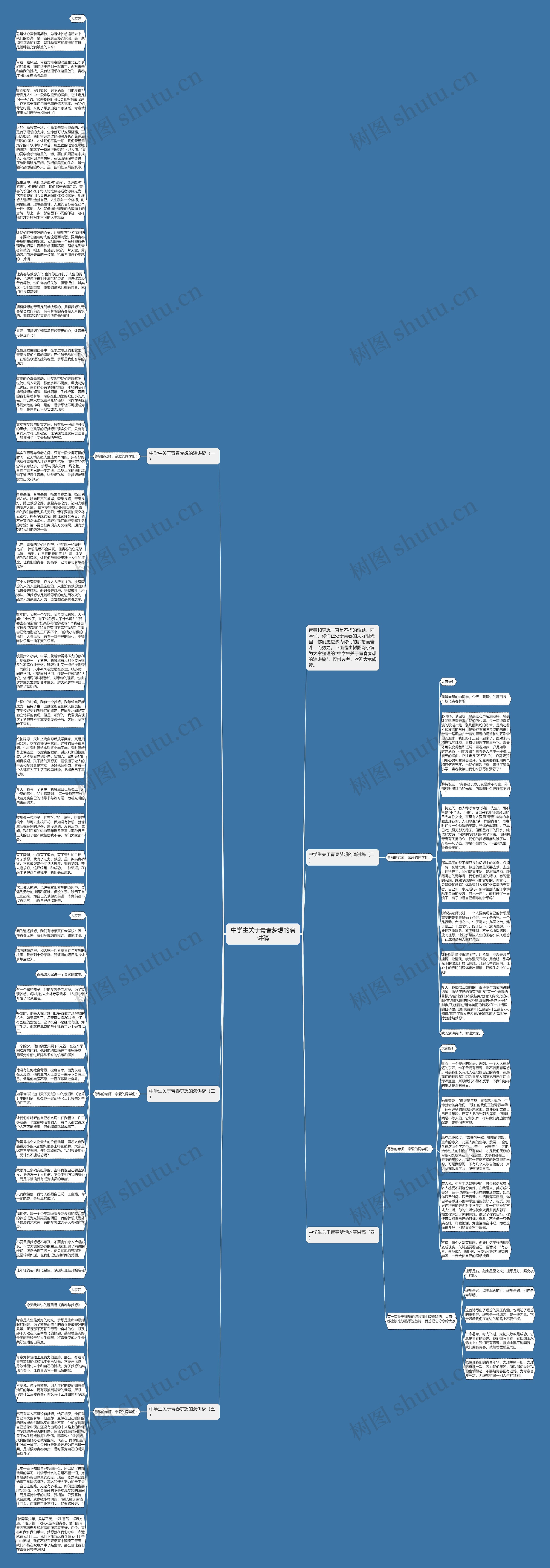 中学生关于青春梦想的演讲稿思维导图