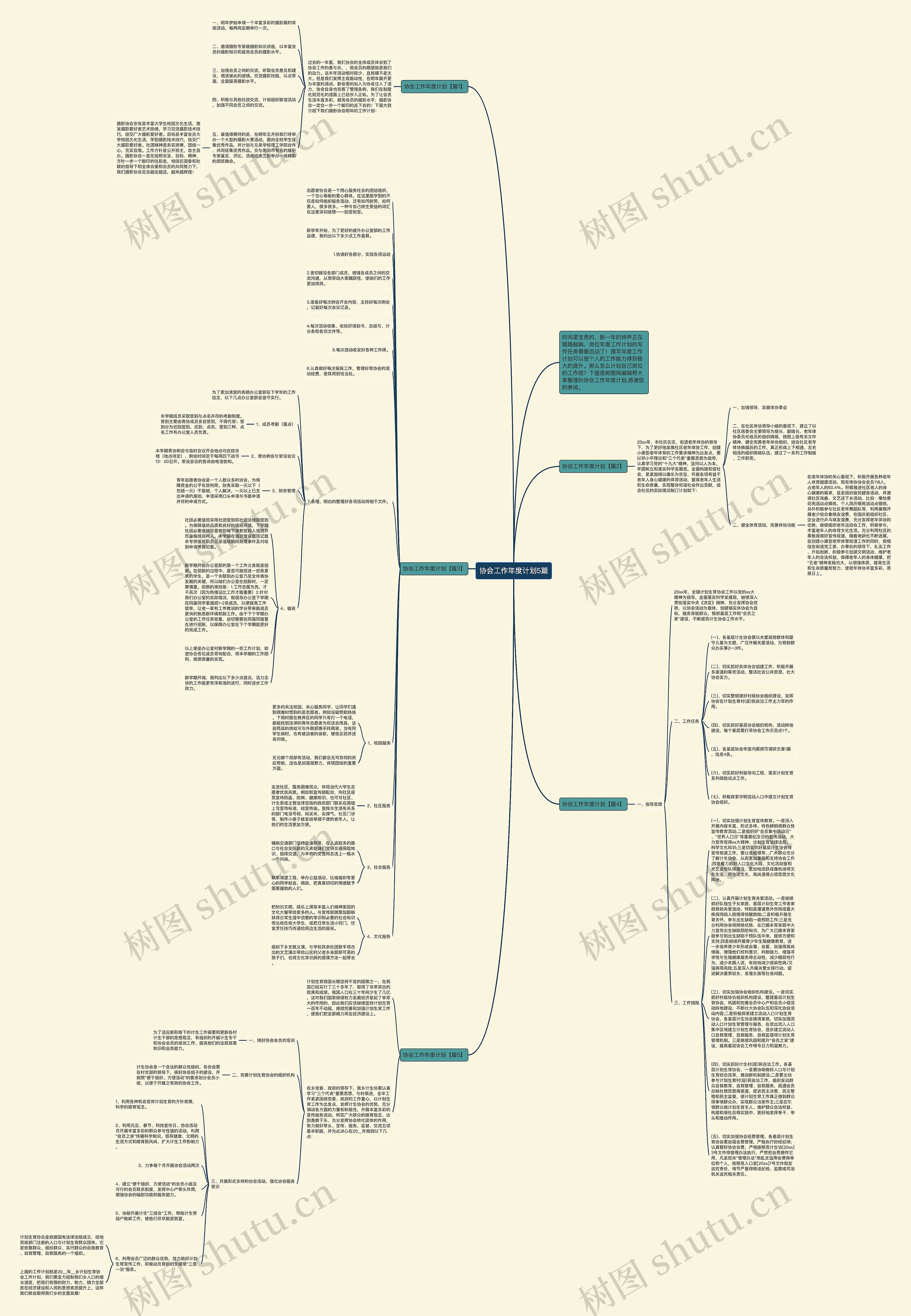 协会工作年度计划5篇思维导图