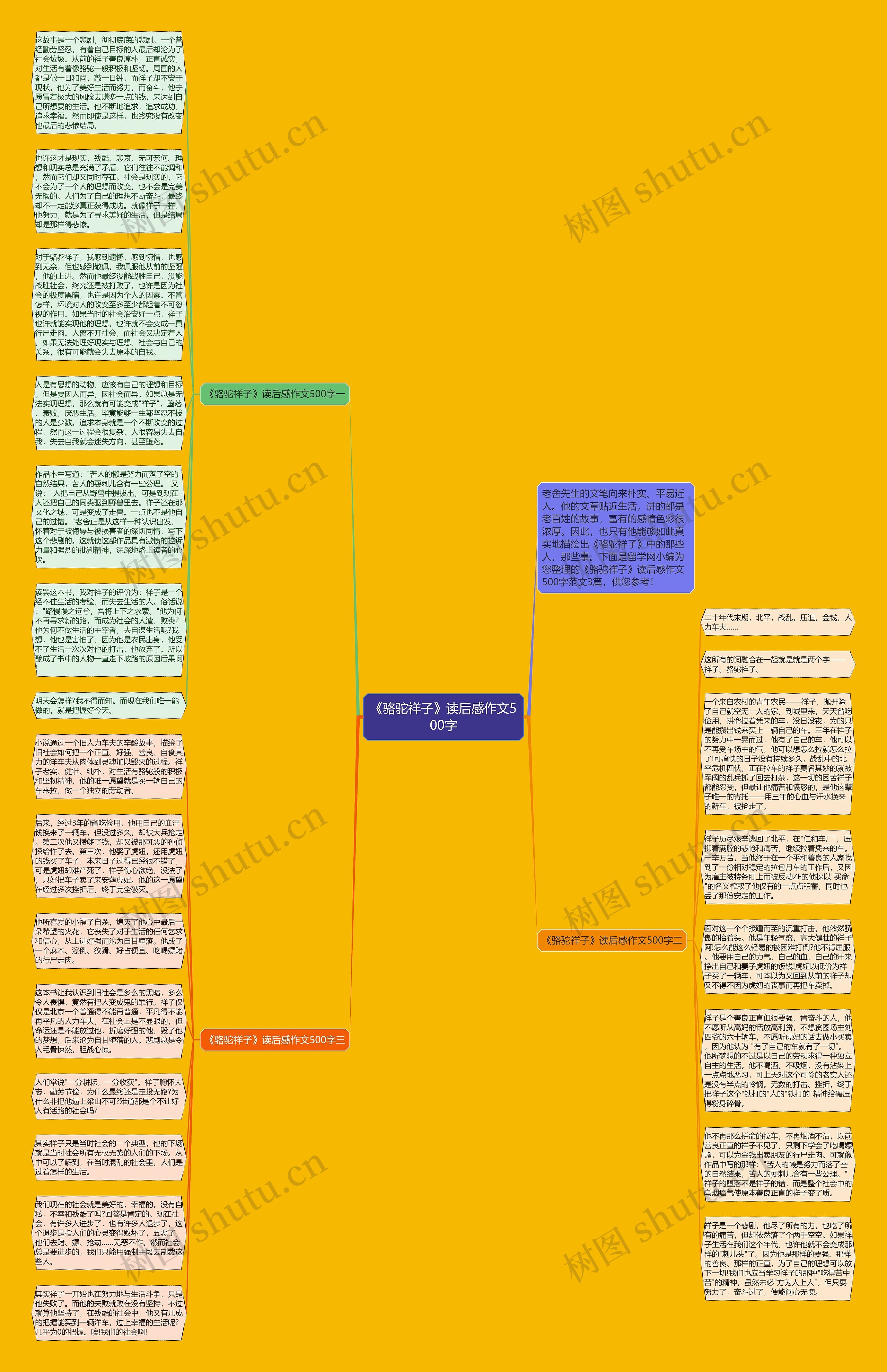 《骆驼祥子》读后感作文500字