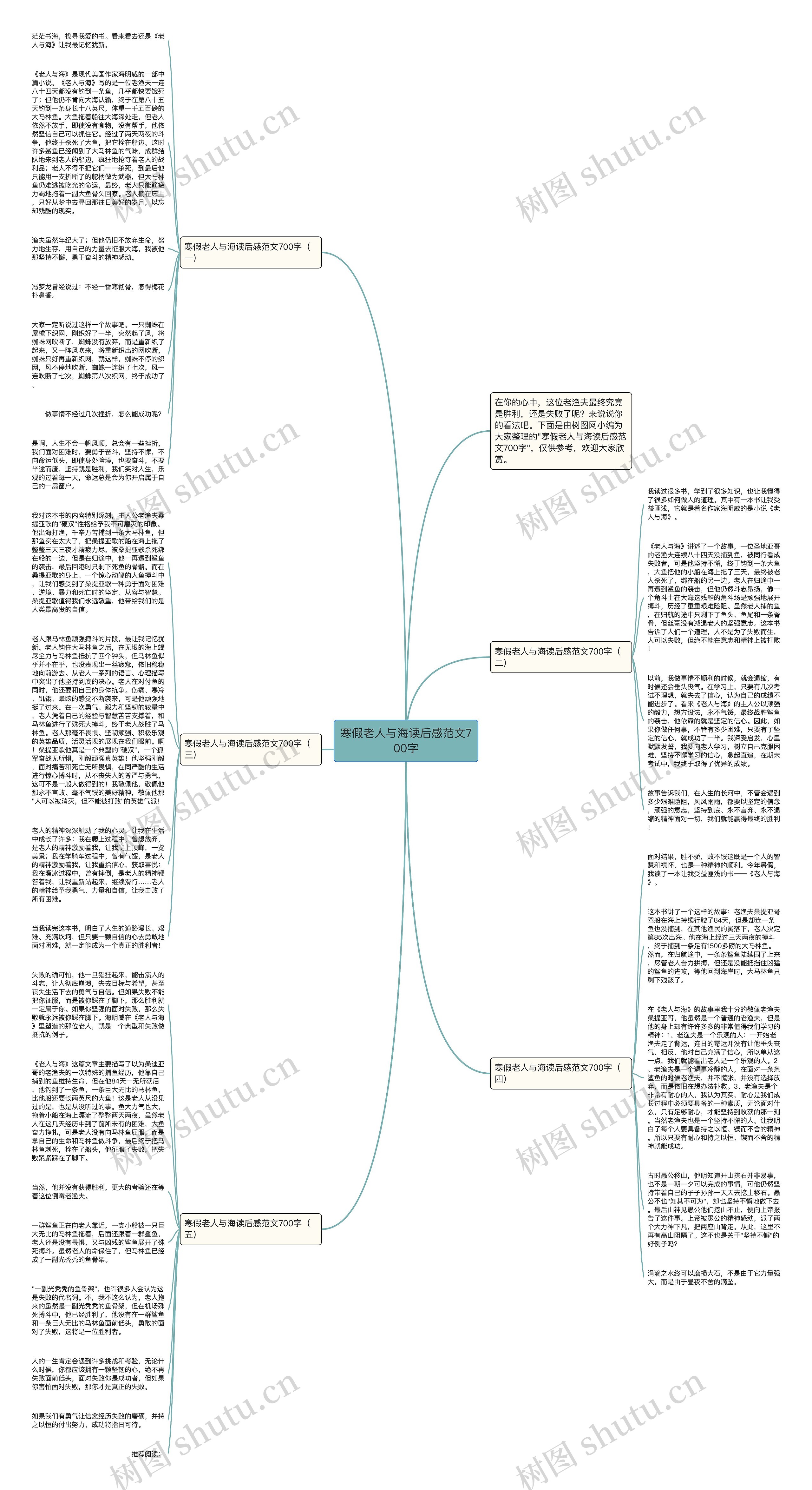寒假老人与海读后感范文700字思维导图