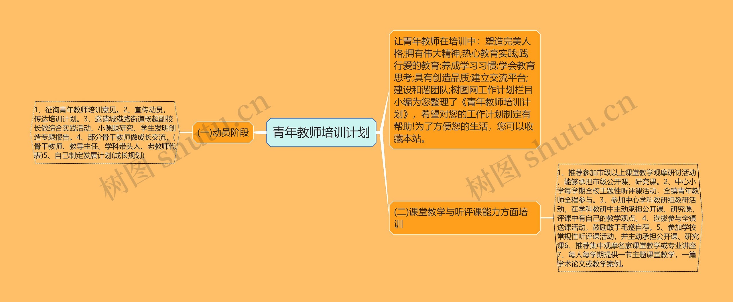 青年教师培训计划