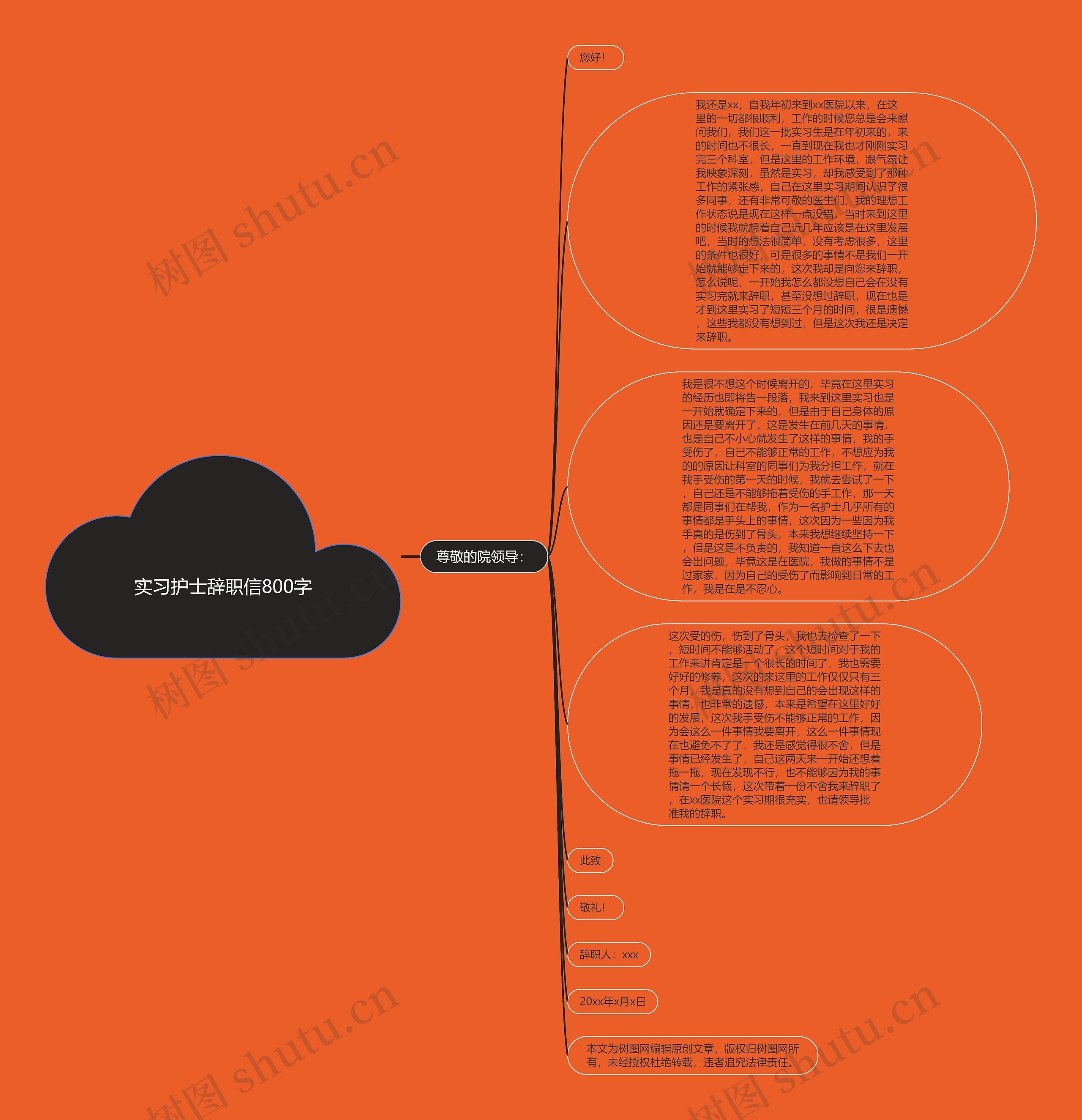 实习护士辞职信800字思维导图