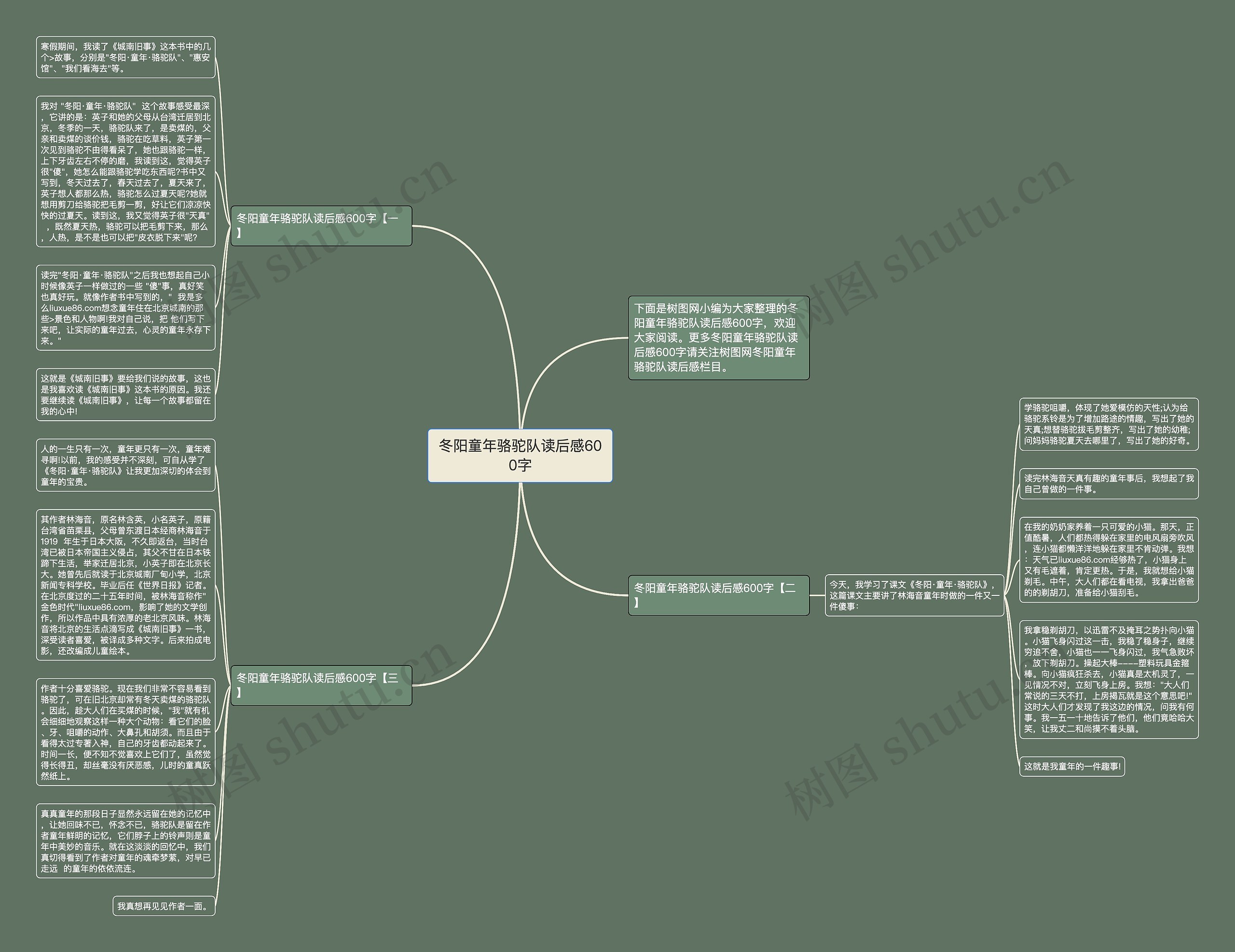 冬阳童年骆驼队读后感600字思维导图