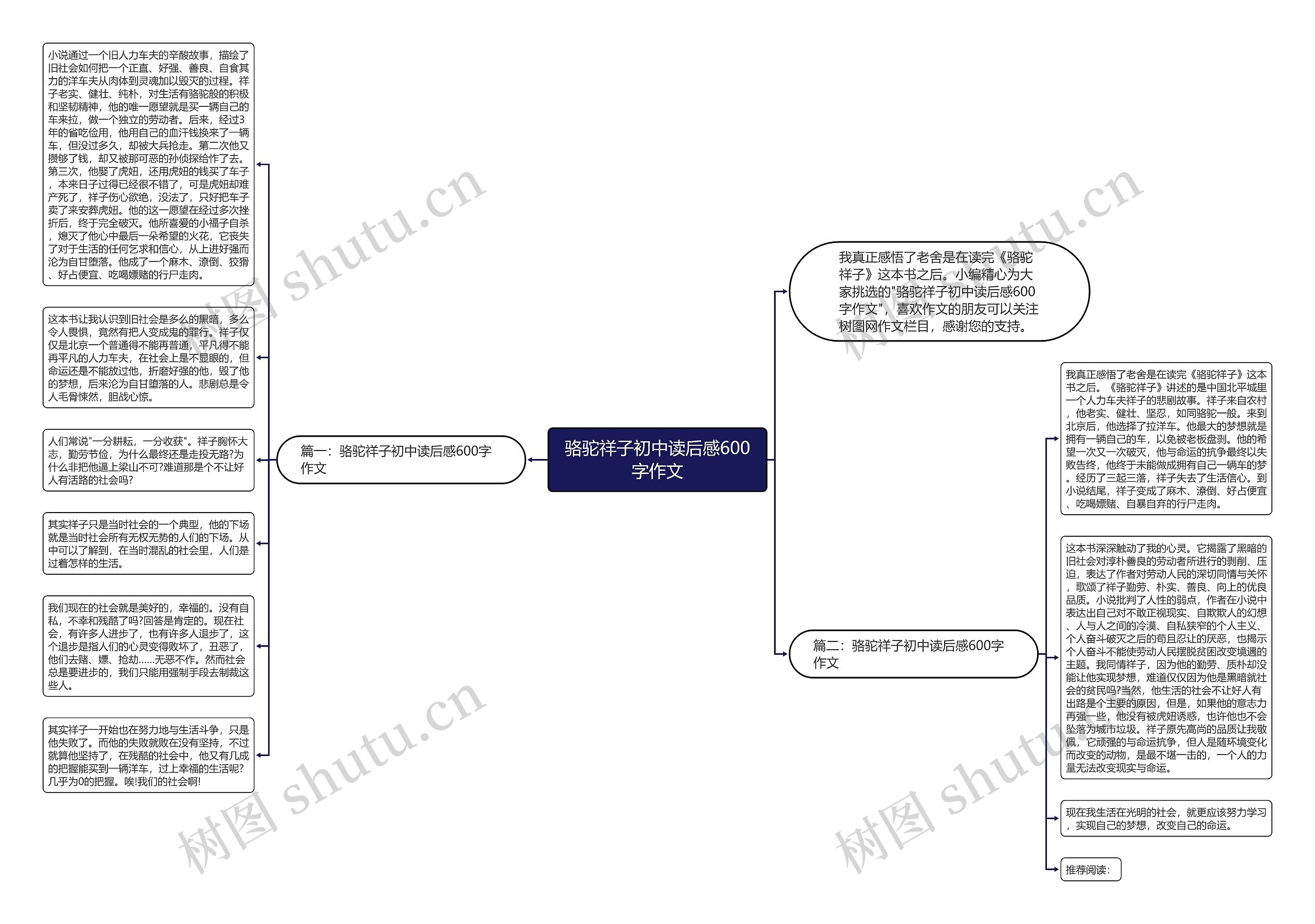骆驼祥子初中读后感600字作文思维导图