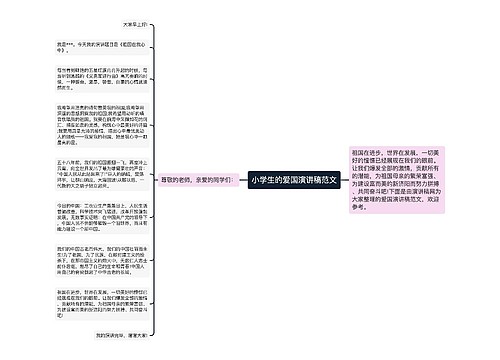 小学生的爱国演讲稿范文