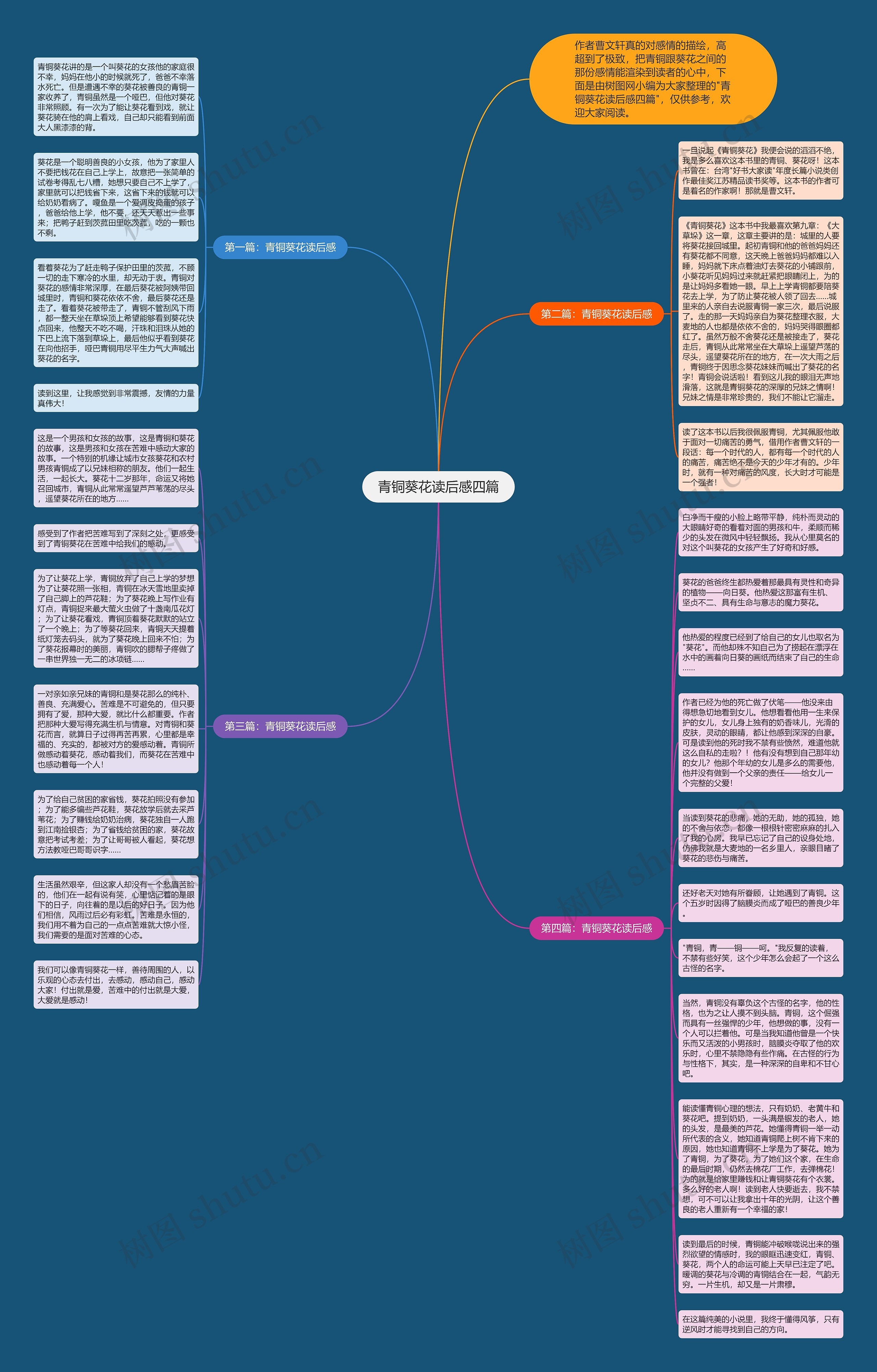 青铜葵花读后感四篇思维导图