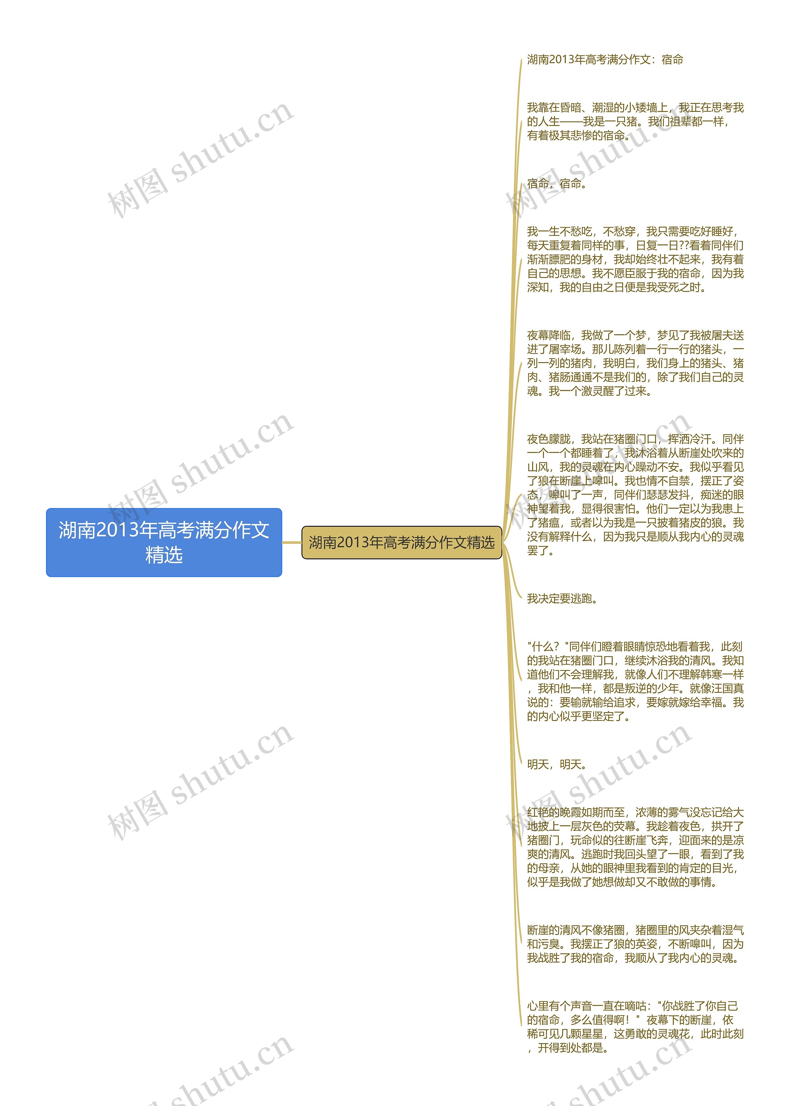 湖南2013年高考满分作文精选
