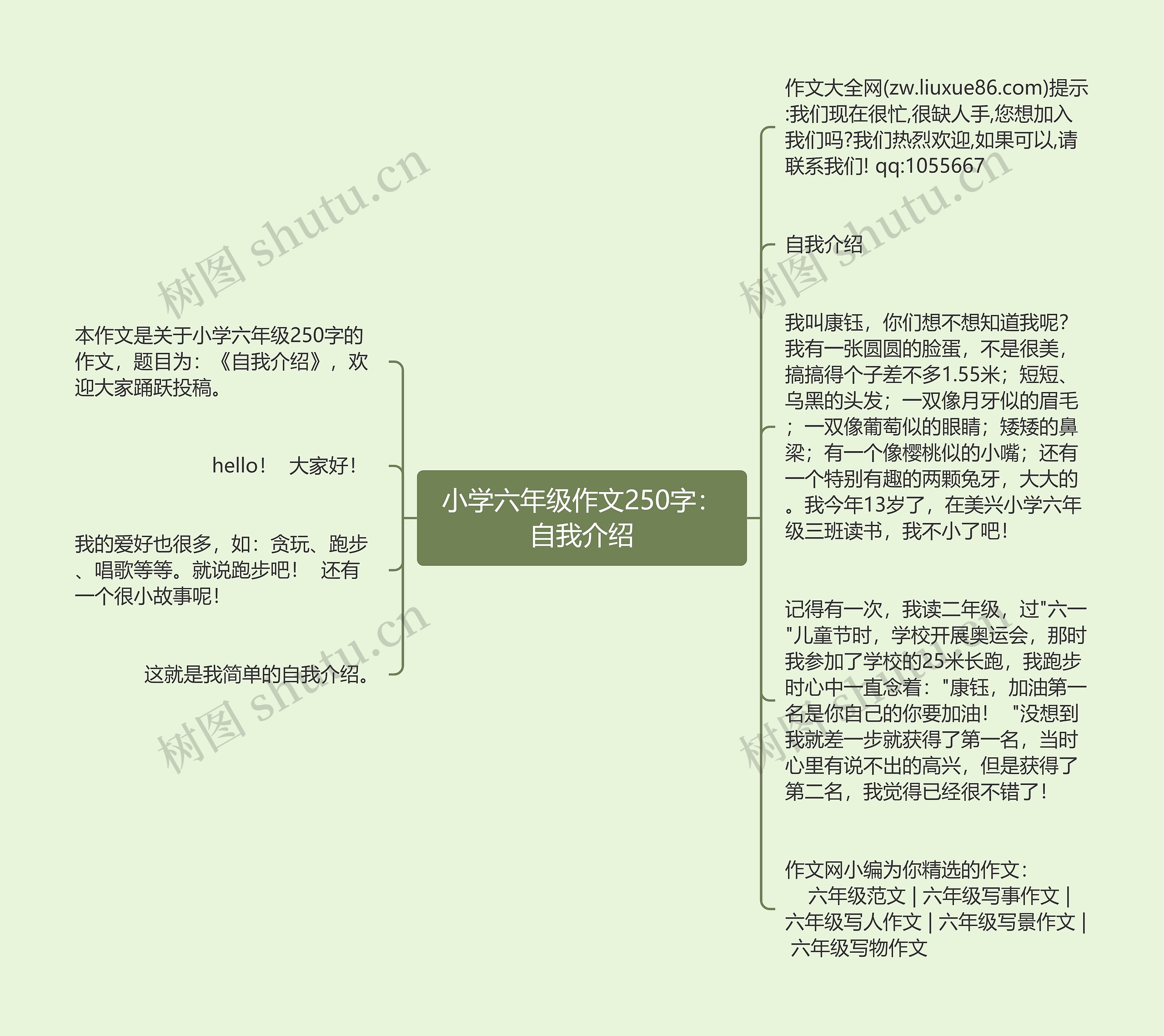 小学六年级作文250字：自我介绍