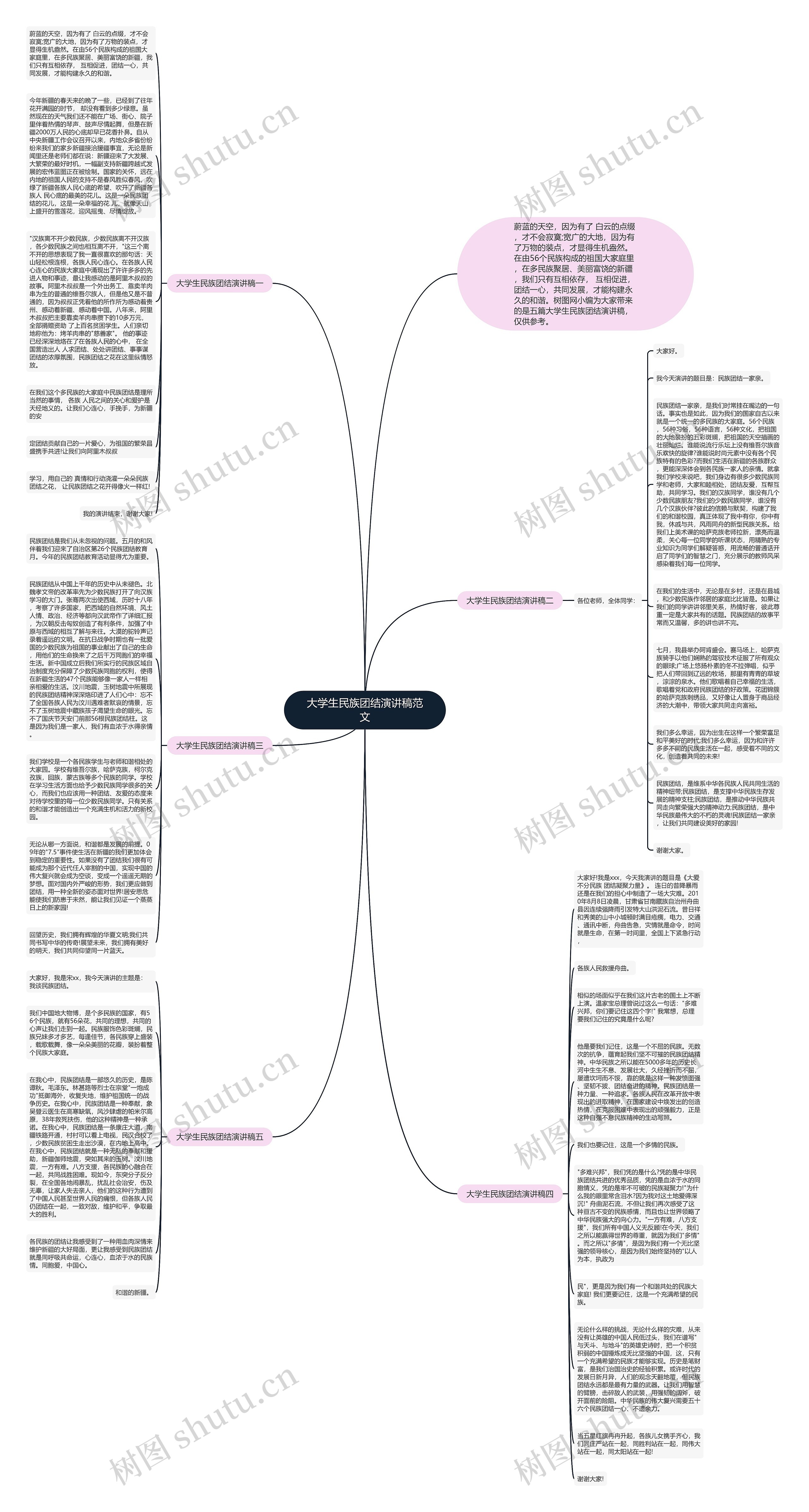 大学生民族团结演讲稿范文思维导图