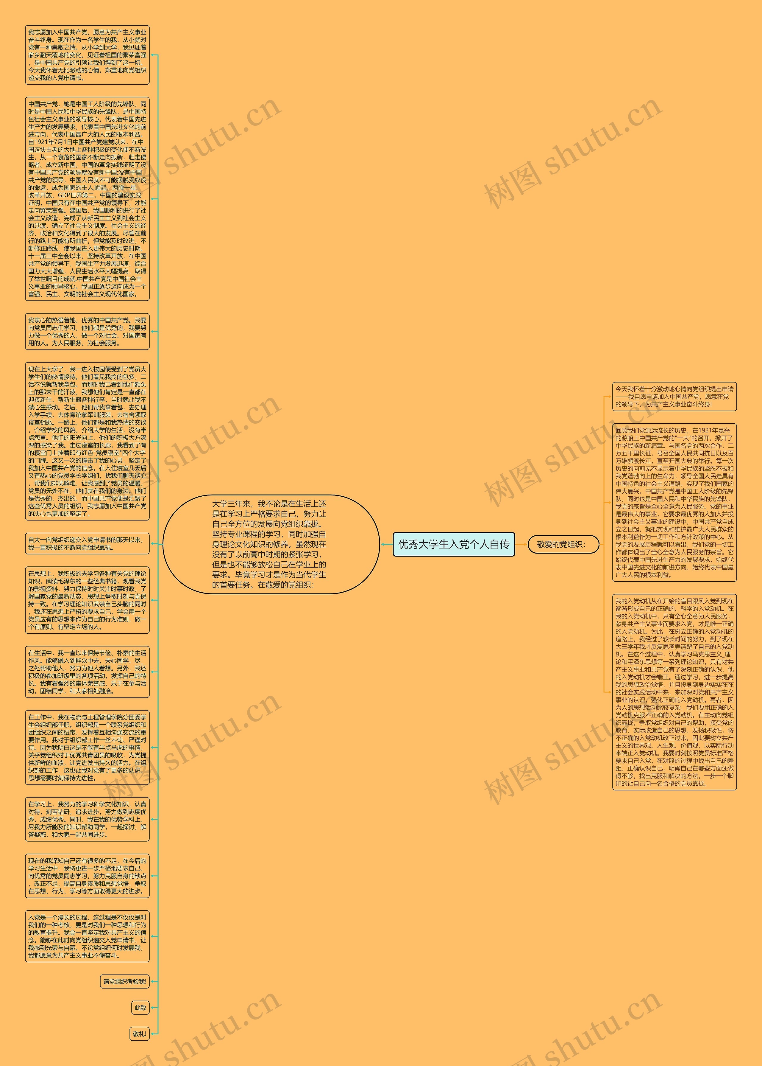 优秀大学生入党个人自传思维导图