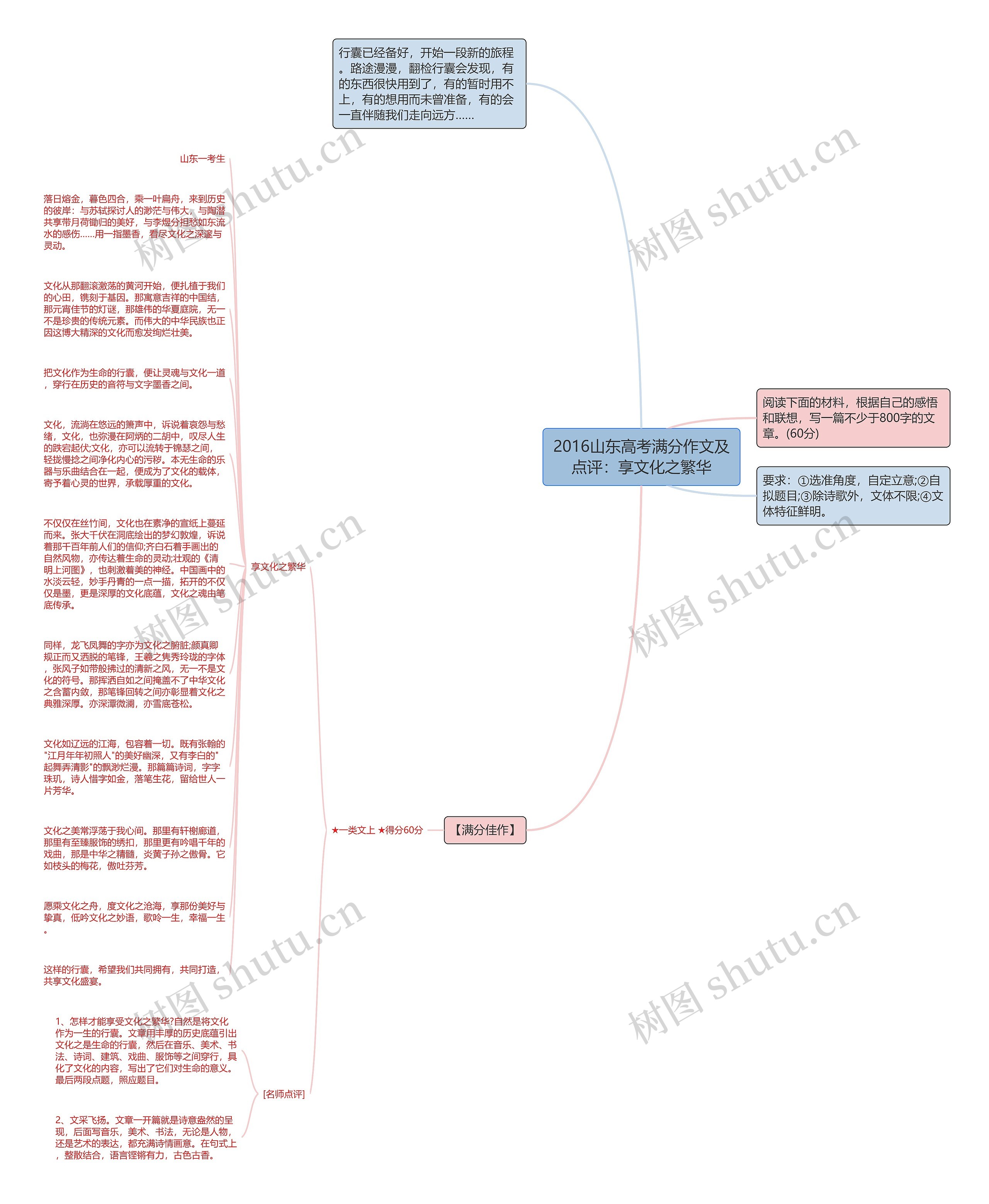 2016山东高考满分作文及点评：享文化之繁华思维导图
