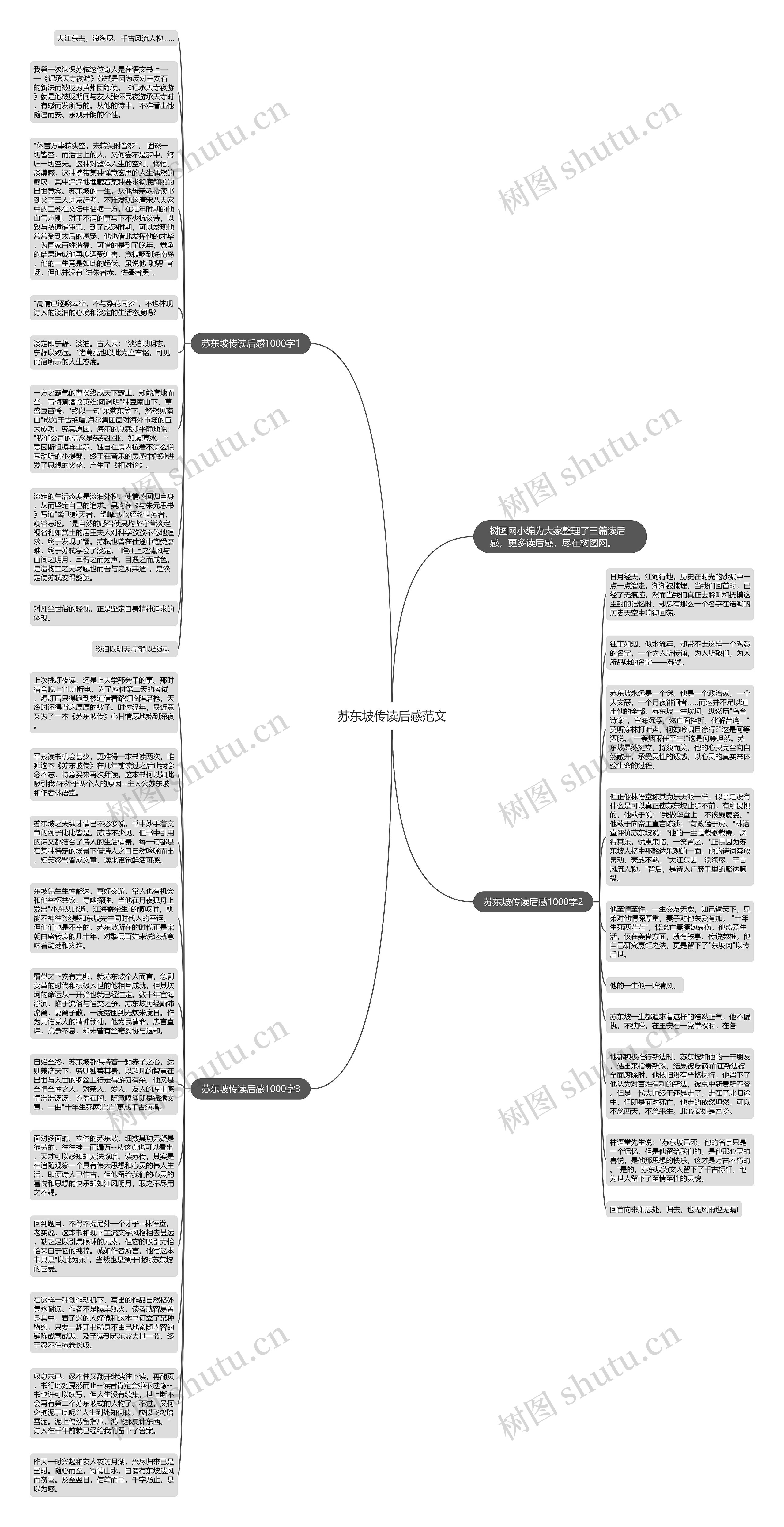 苏东坡传读后感范文思维导图