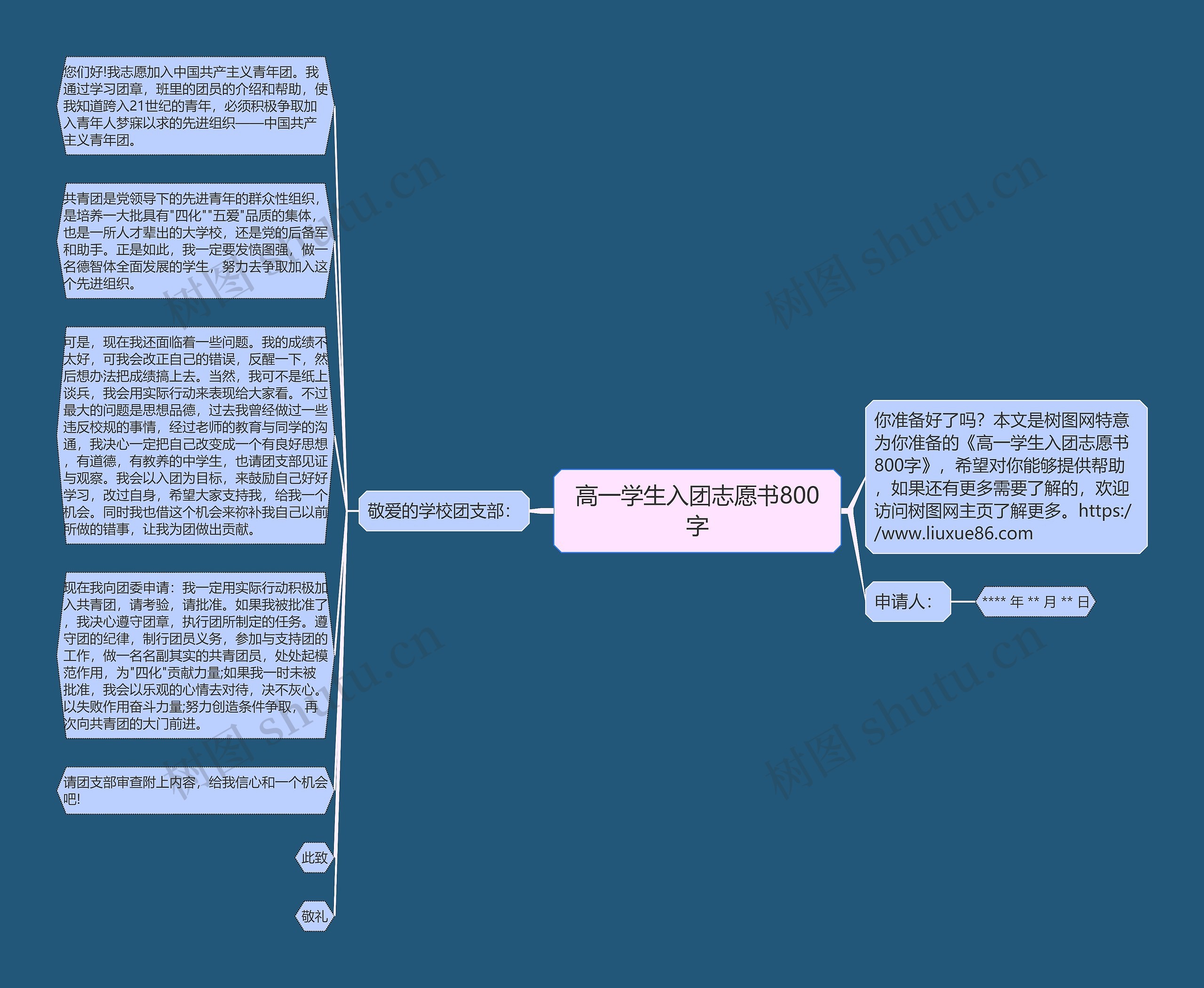 高一学生入团志愿书800字