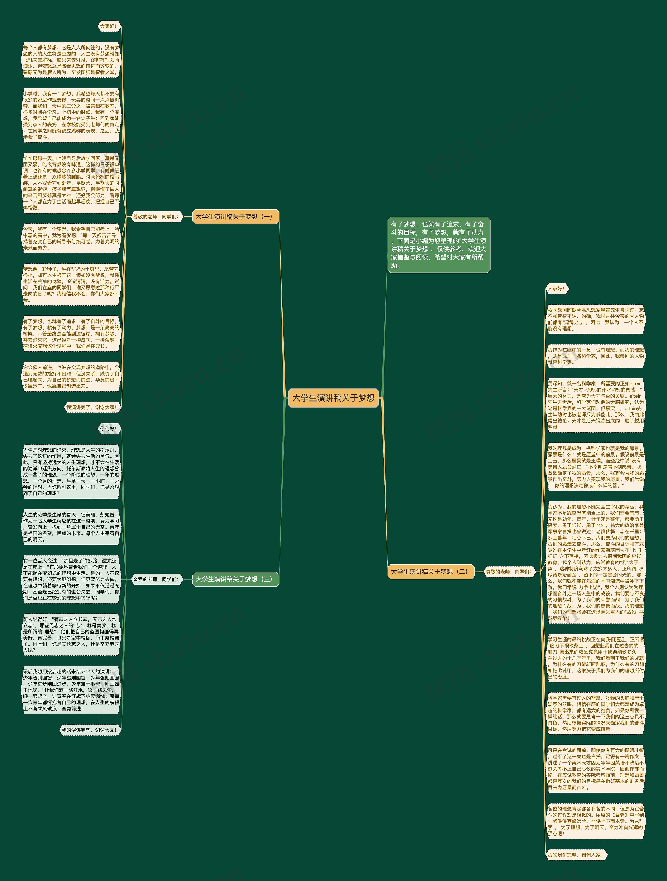 大学生演讲稿关于梦想思维导图