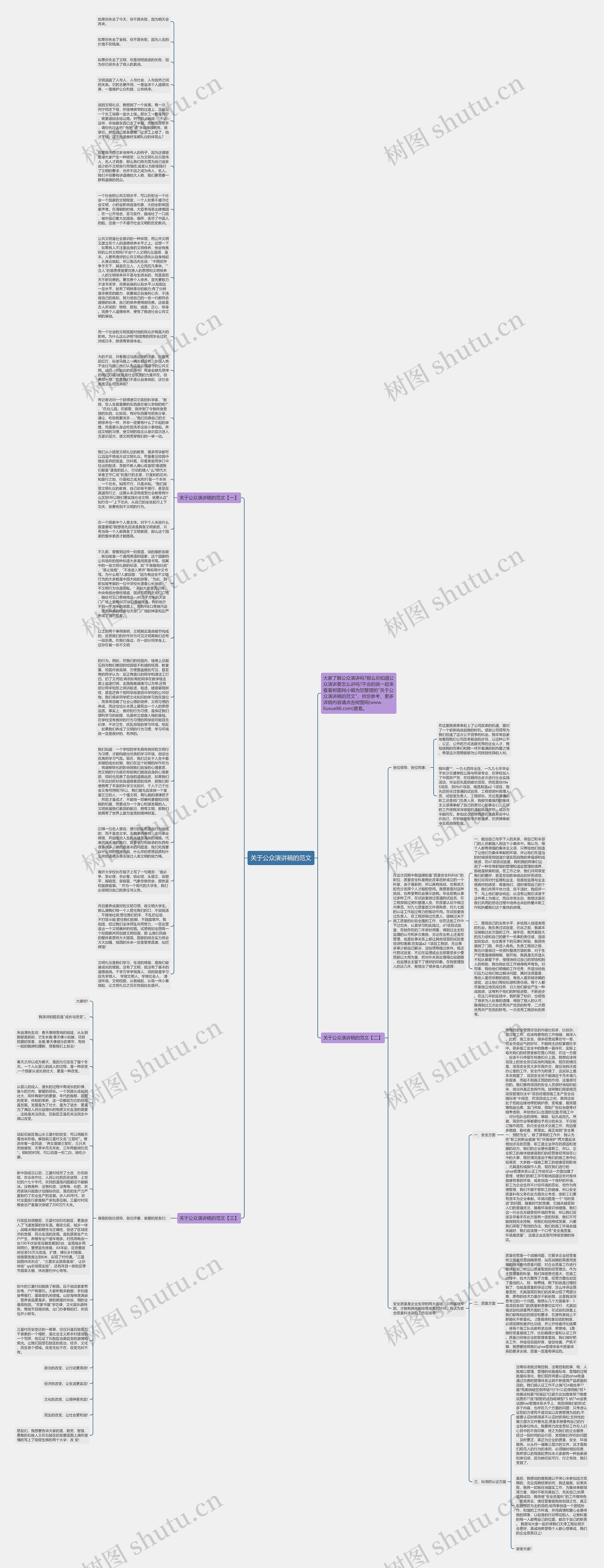 关于公众演讲稿的范文思维导图