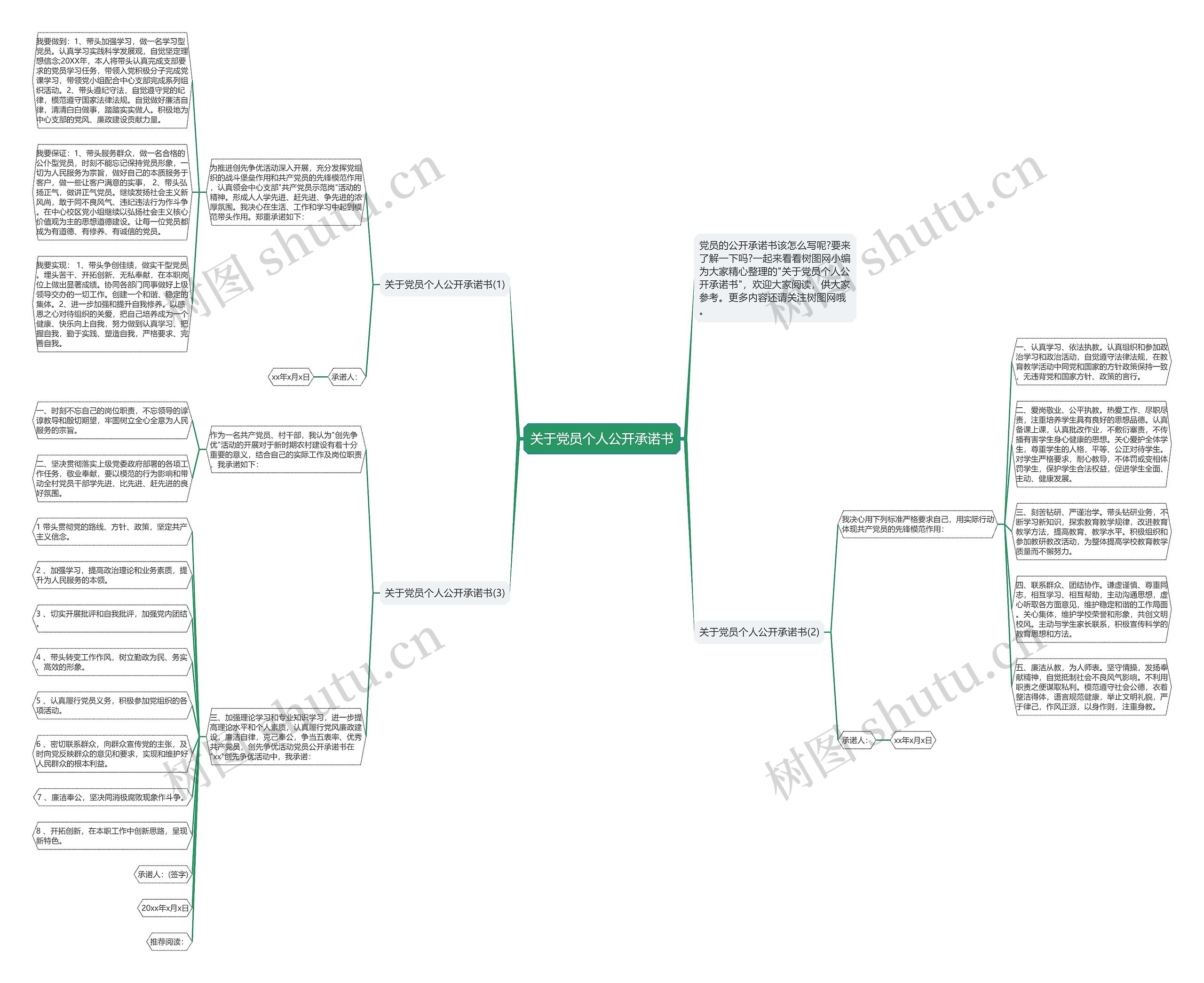 关于党员个人公开承诺书思维导图