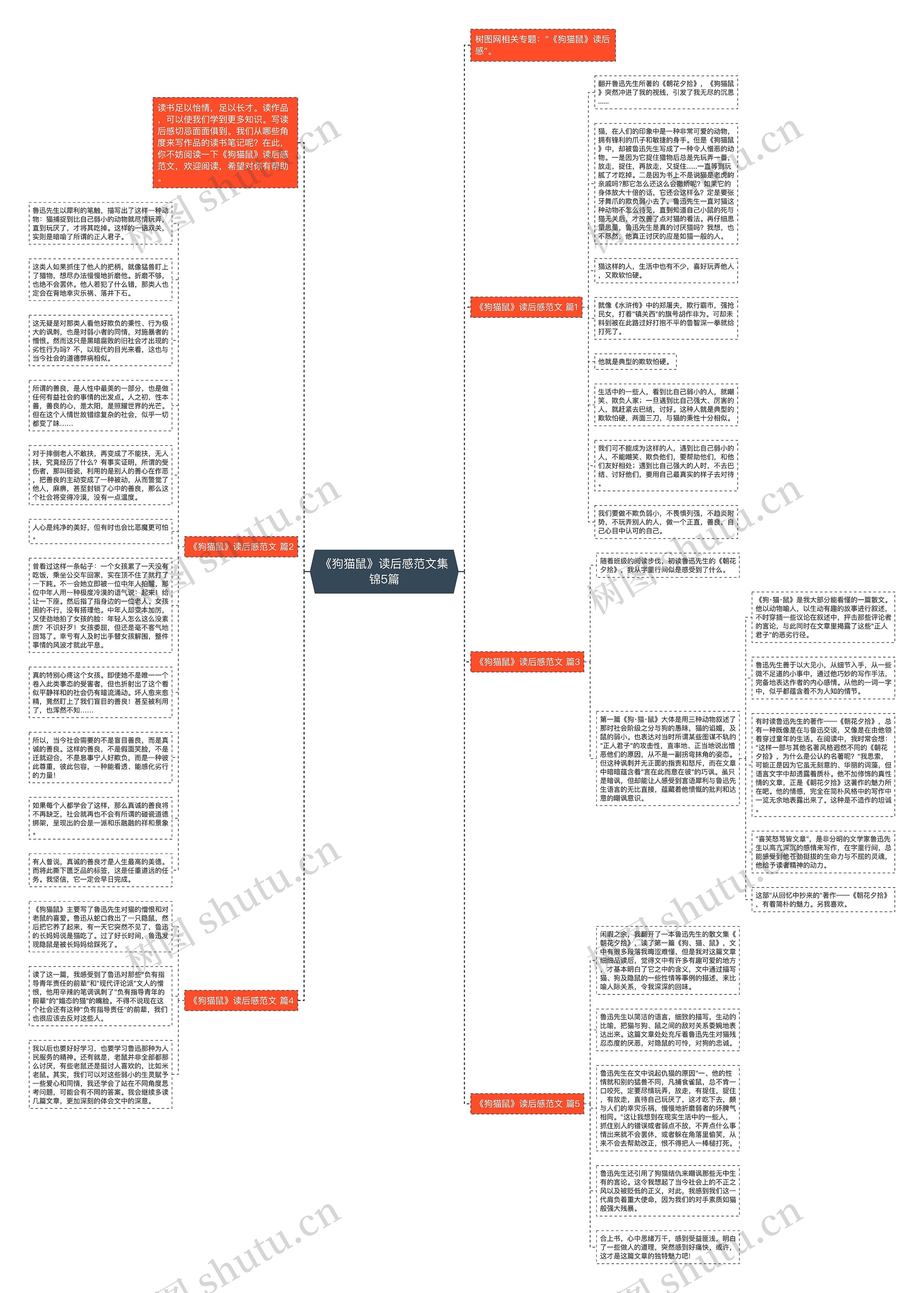《狗猫鼠》读后感范文集锦5篇思维导图