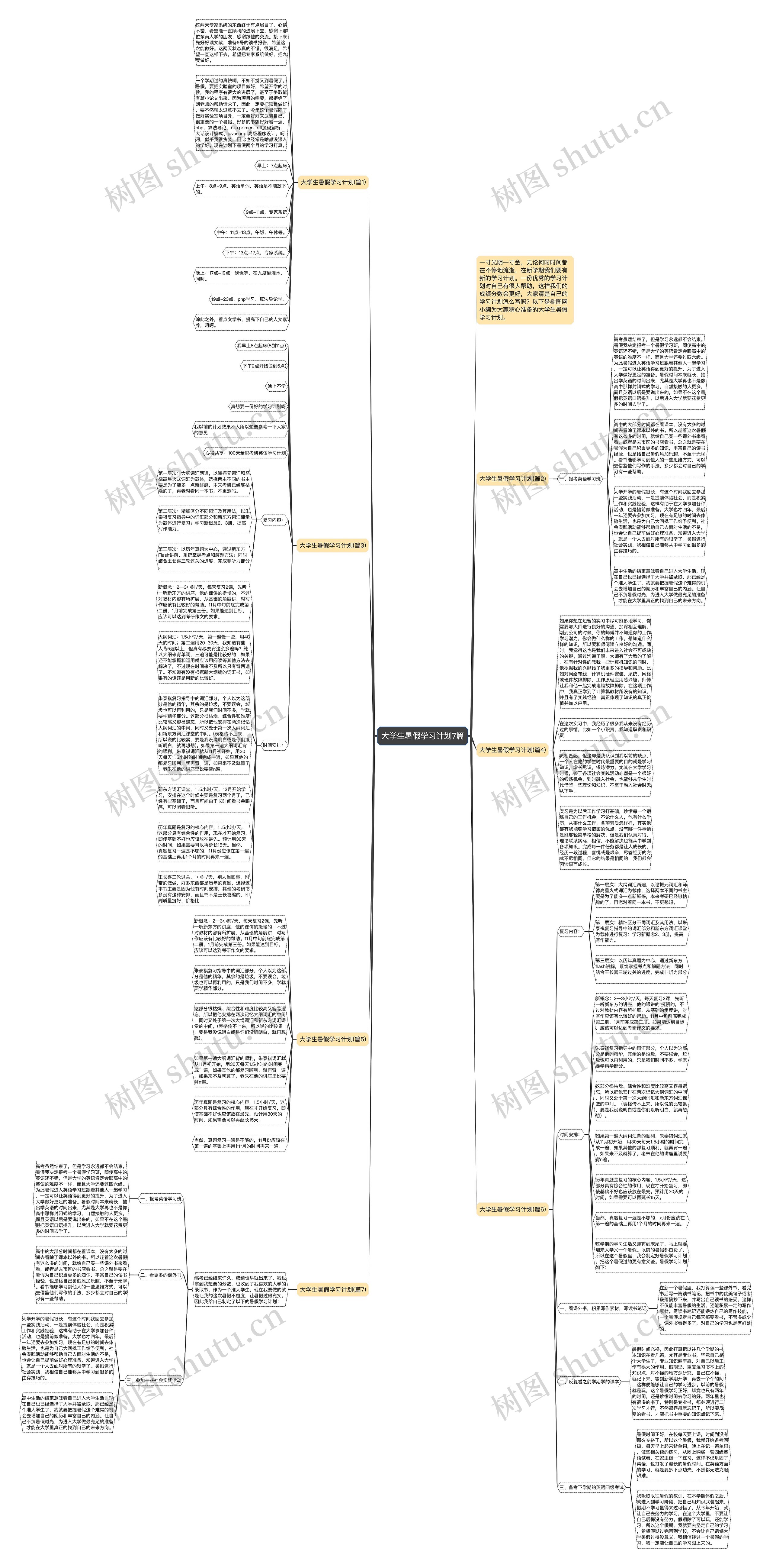 大学生暑假学习计划7篇思维导图