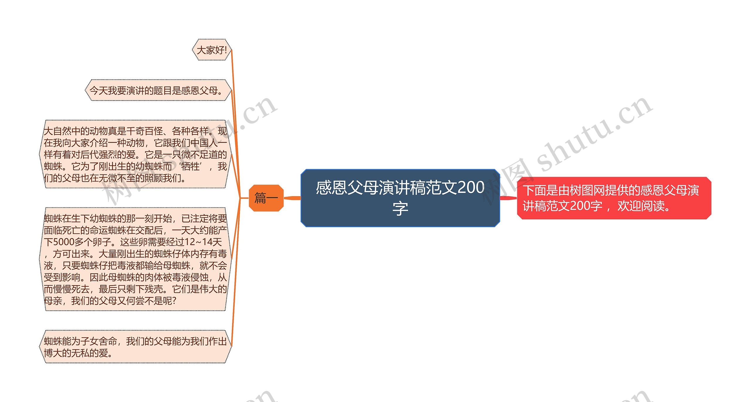 感恩父母演讲稿范文200字