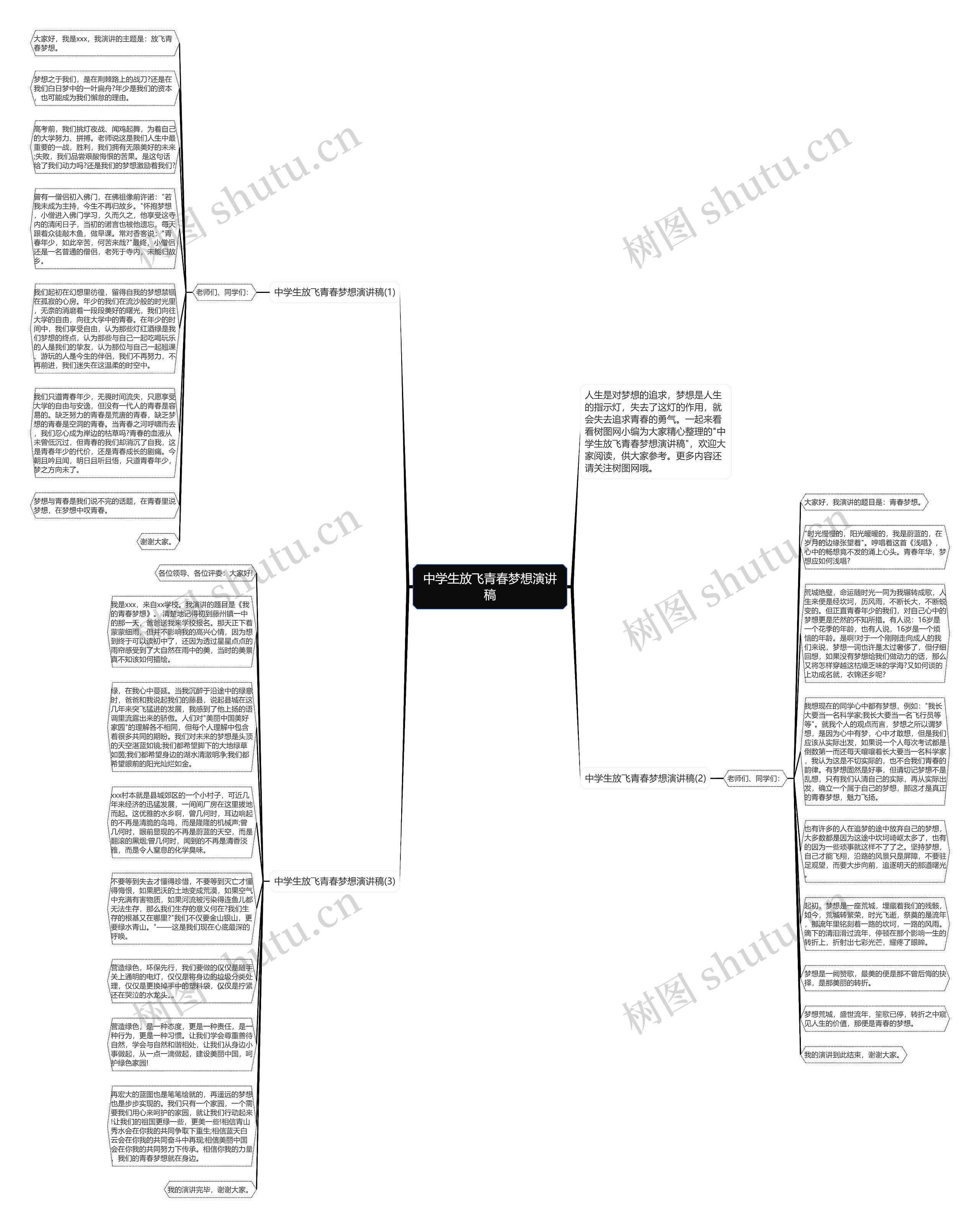 中学生放飞青春梦想演讲稿思维导图