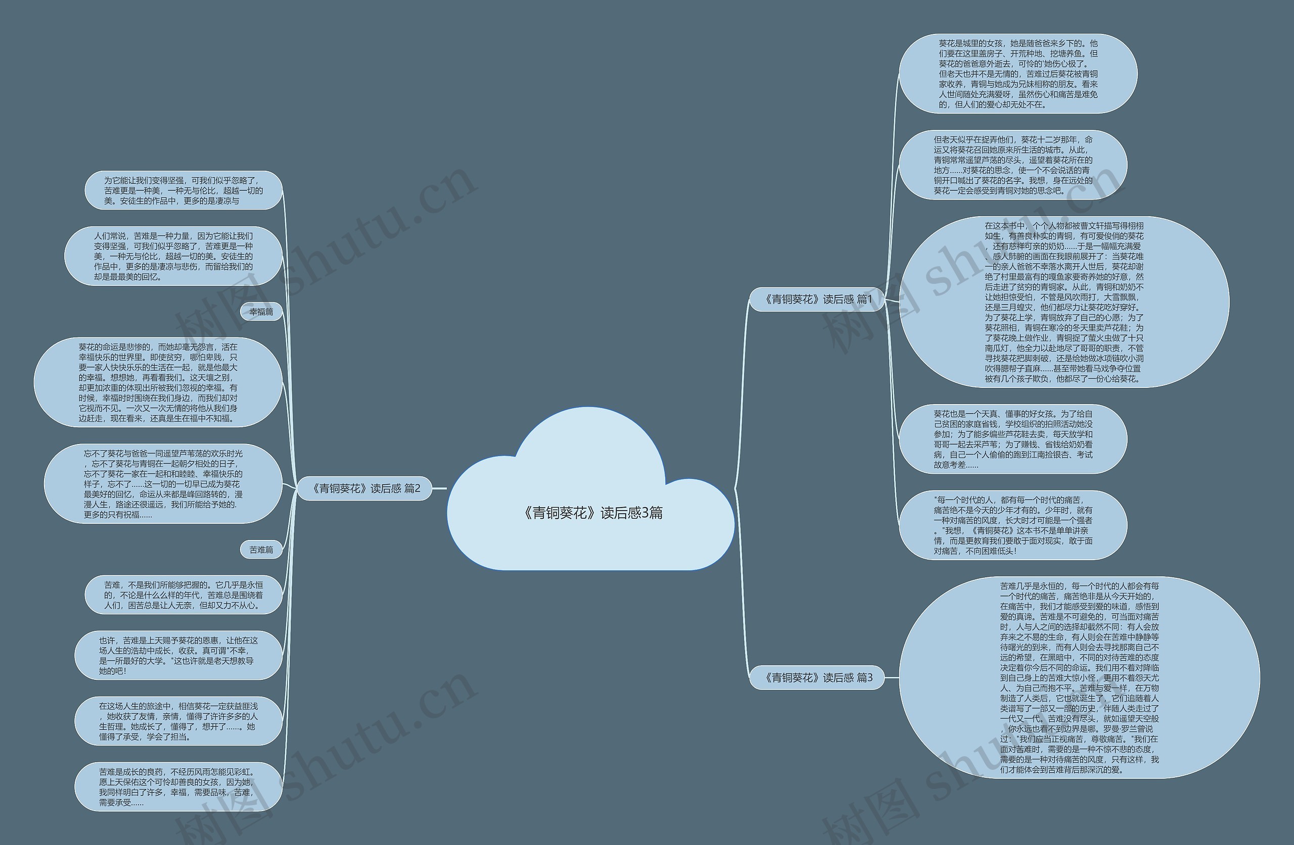 《青铜葵花》读后感3篇思维导图