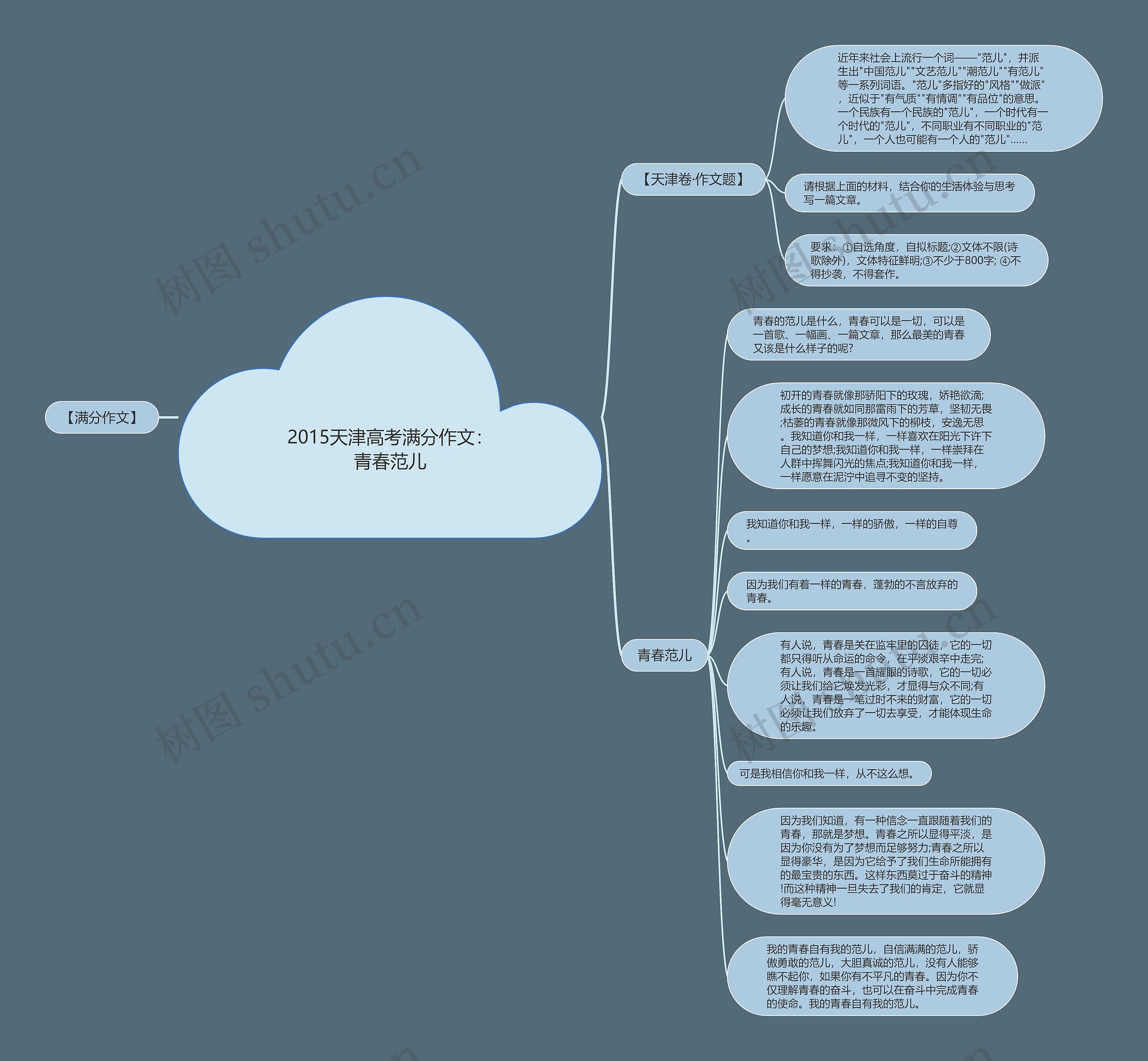 2015天津高考满分作文：青春范儿思维导图