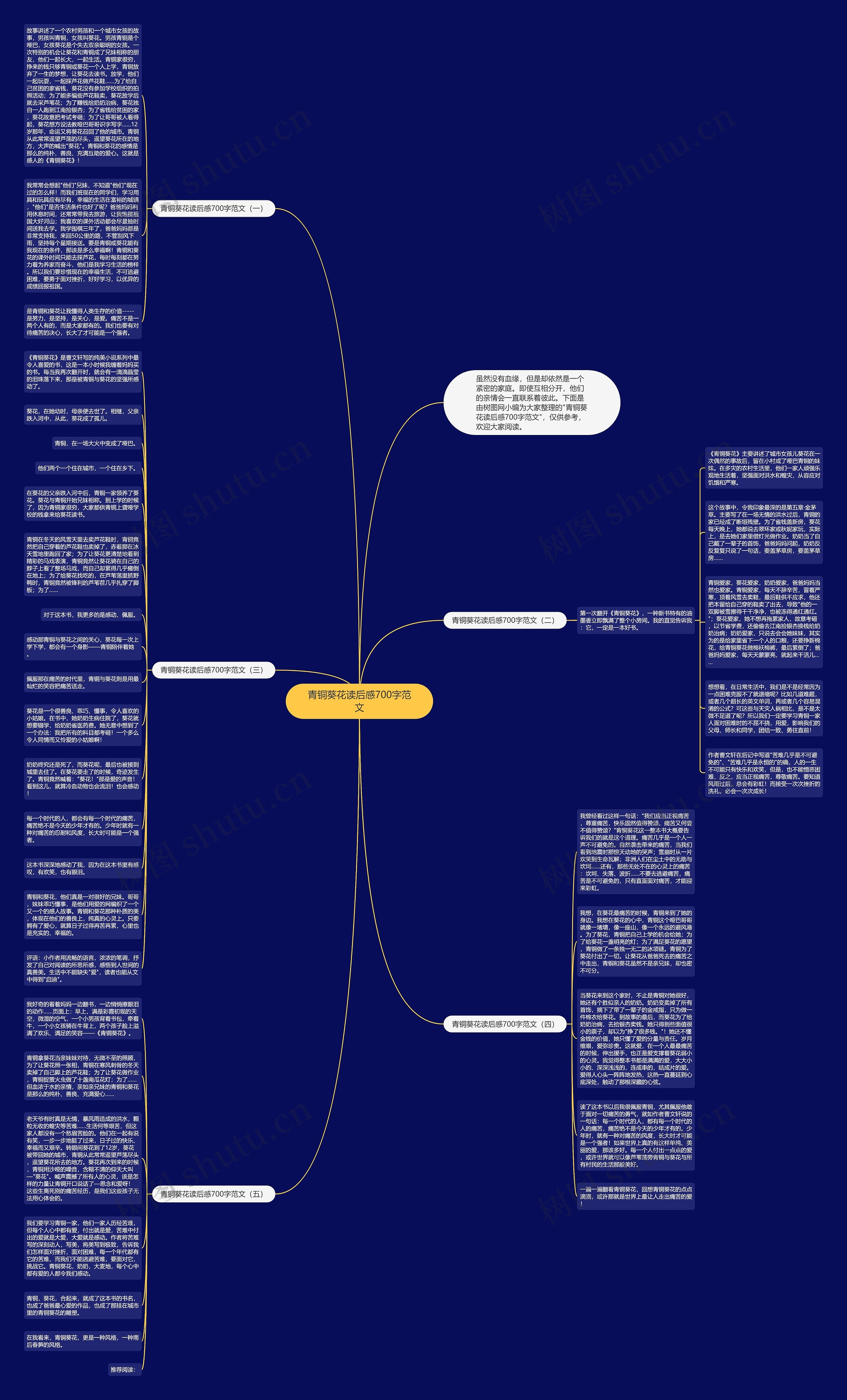 青铜葵花读后感700字范文思维导图
