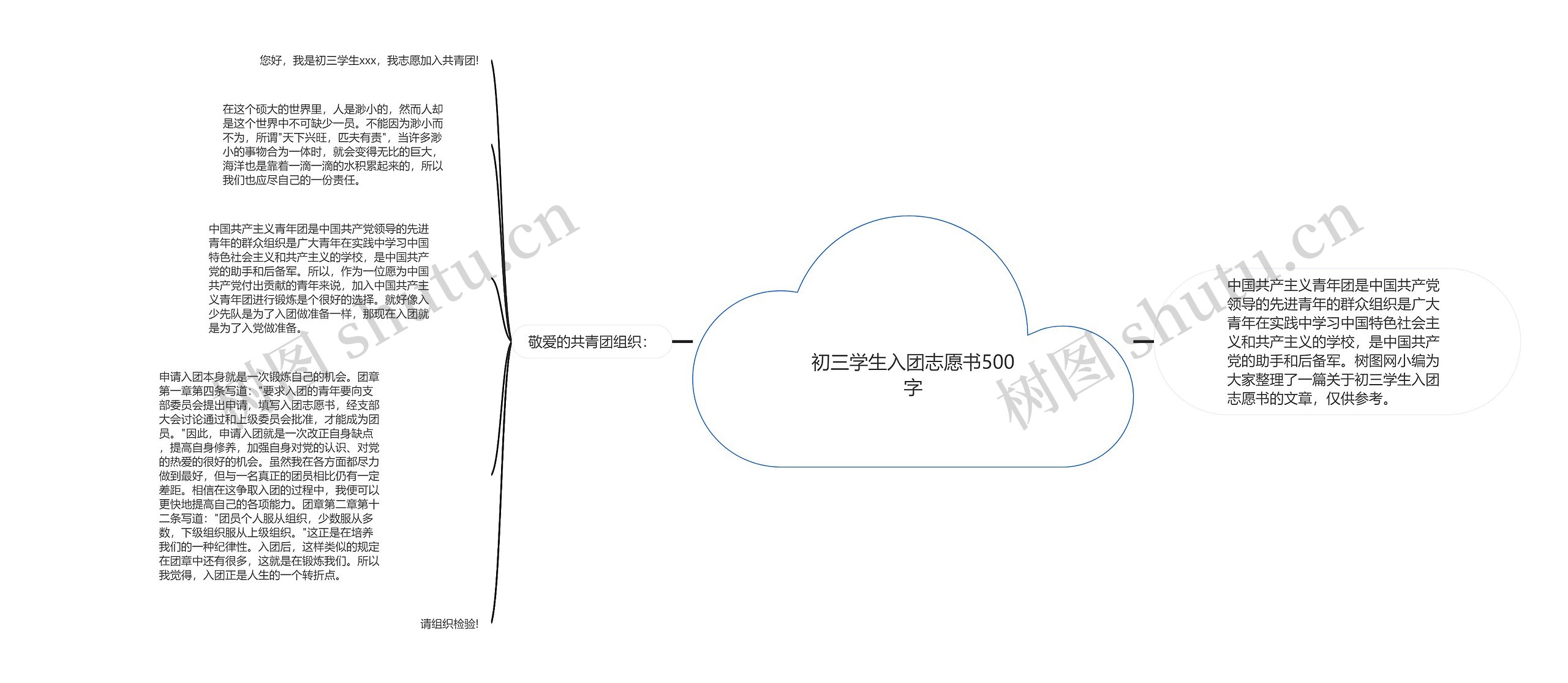 初三学生入团志愿书500字