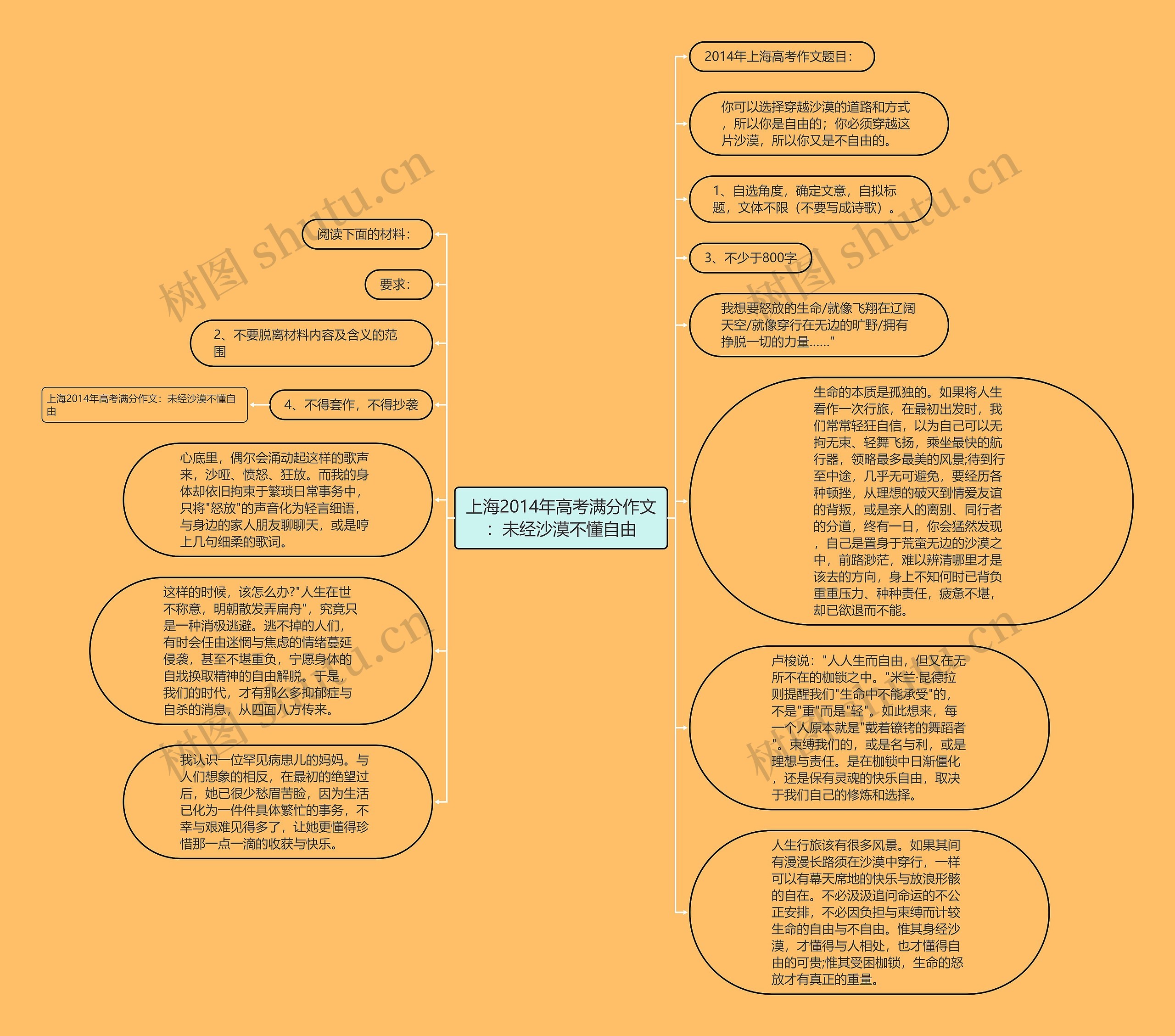 上海2014年高考满分作文：未经沙漠不懂自由思维导图