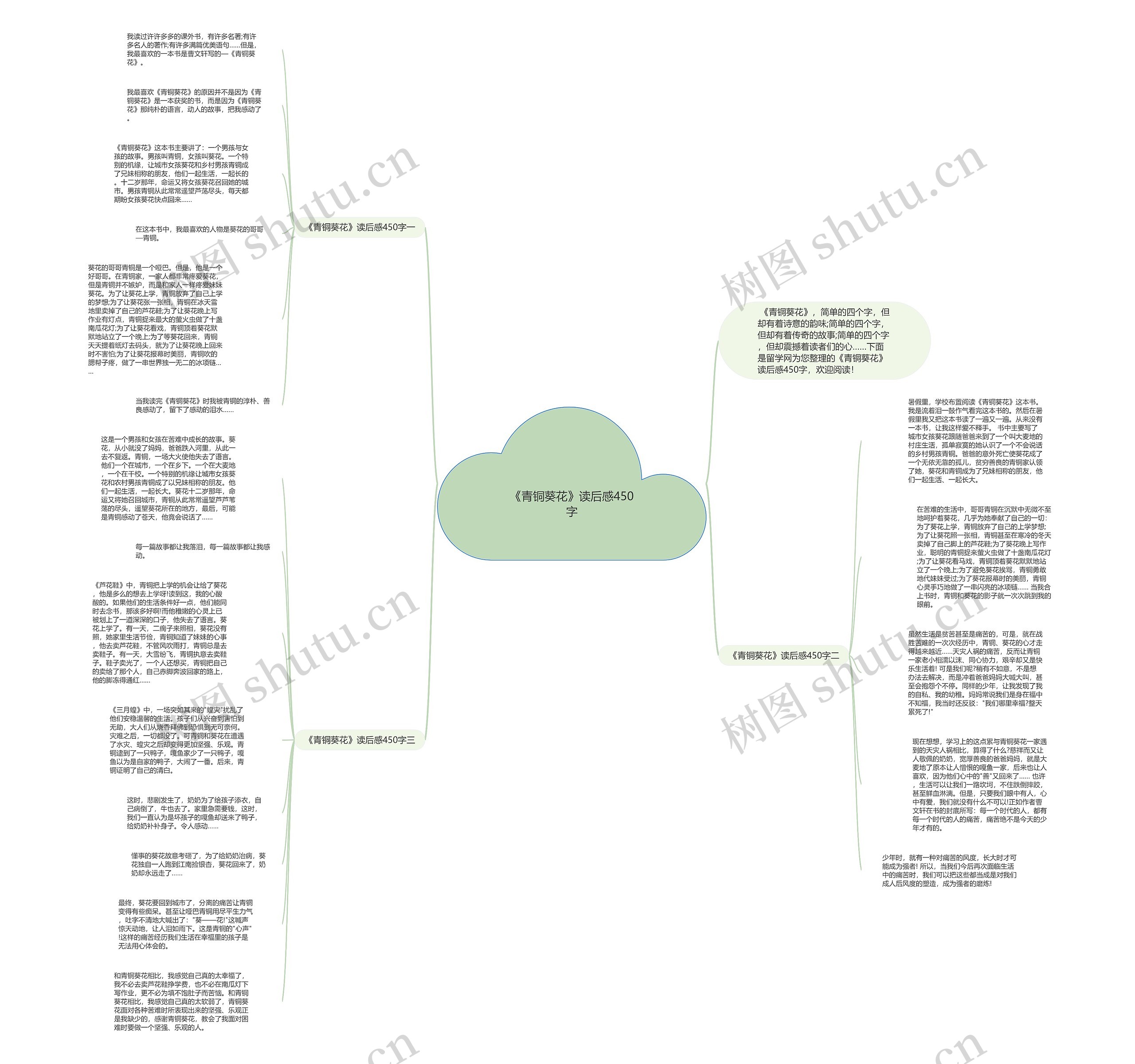 《青铜葵花》读后感450字思维导图
